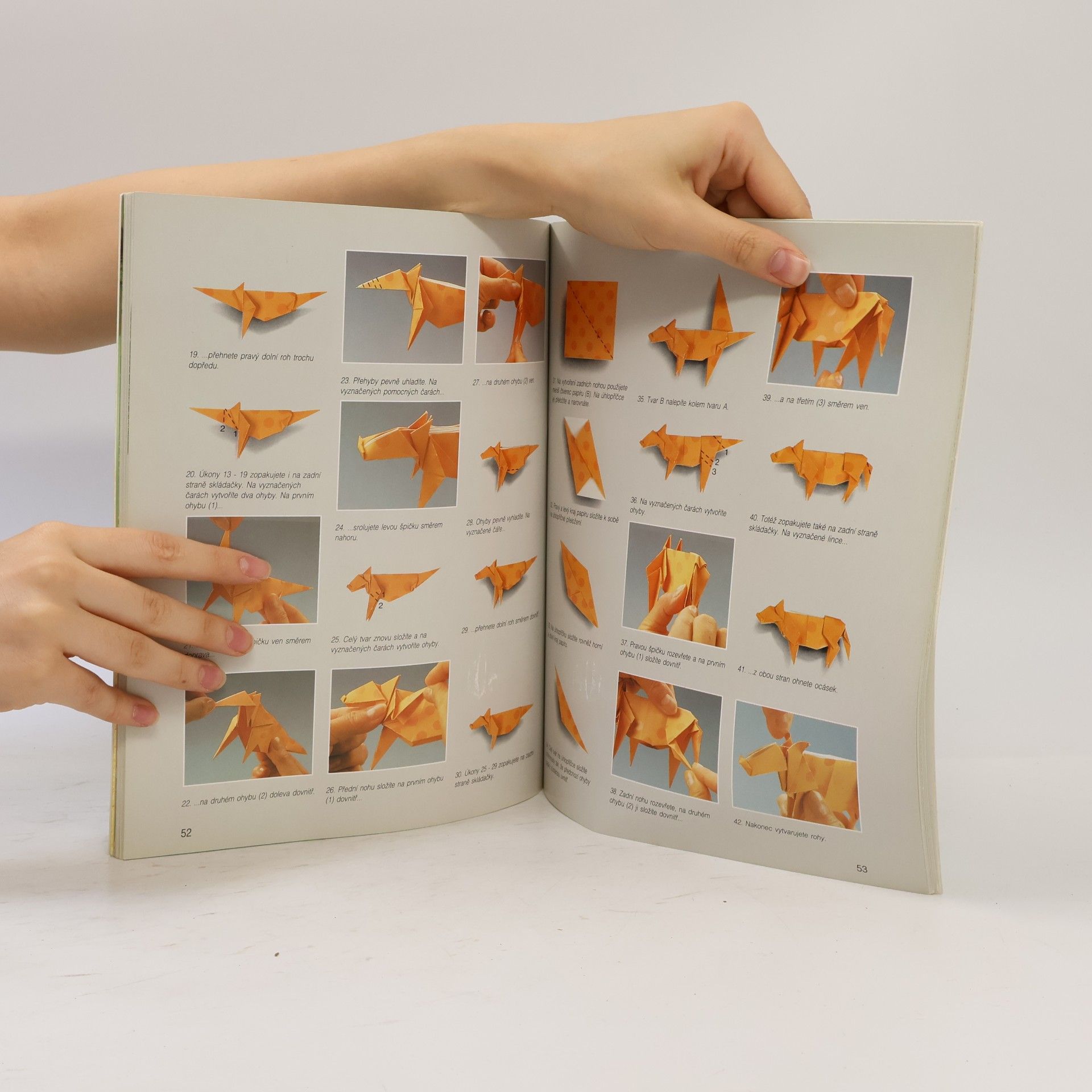 Zülal AytüreScheele Nové kouzelné Origami nápady. Papírové skládačky pro velké i malé
