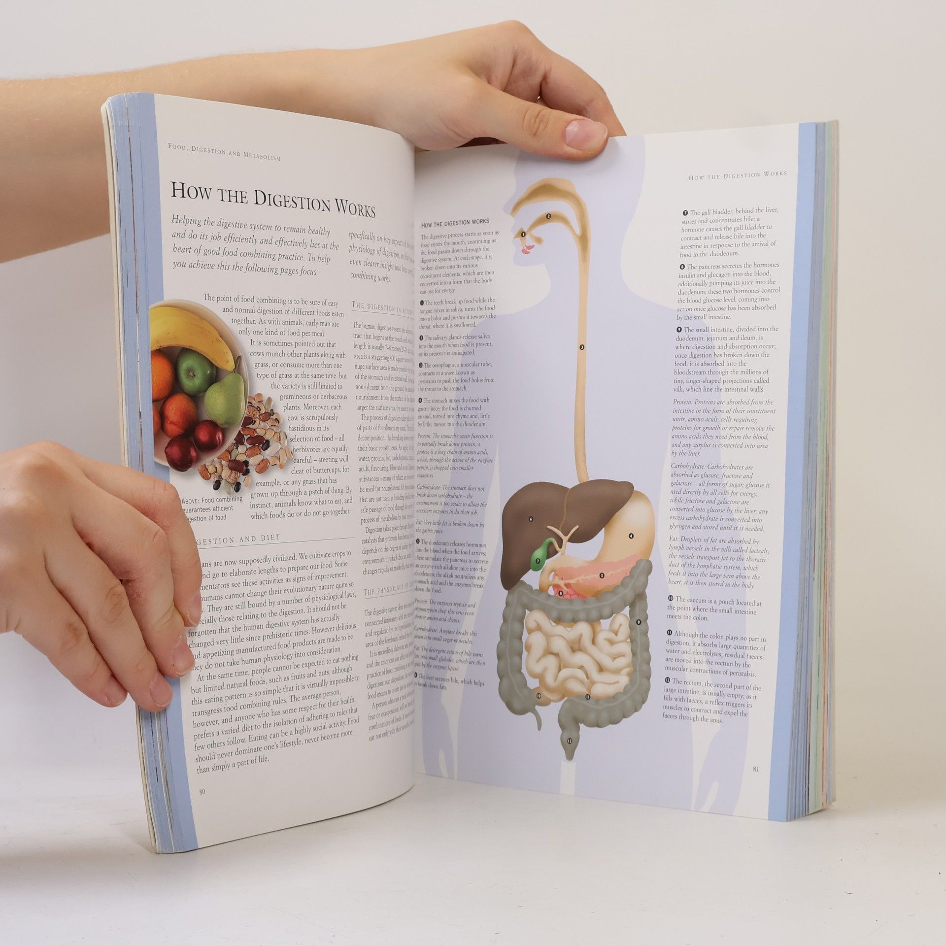 Jan Dries Food Combining Bible