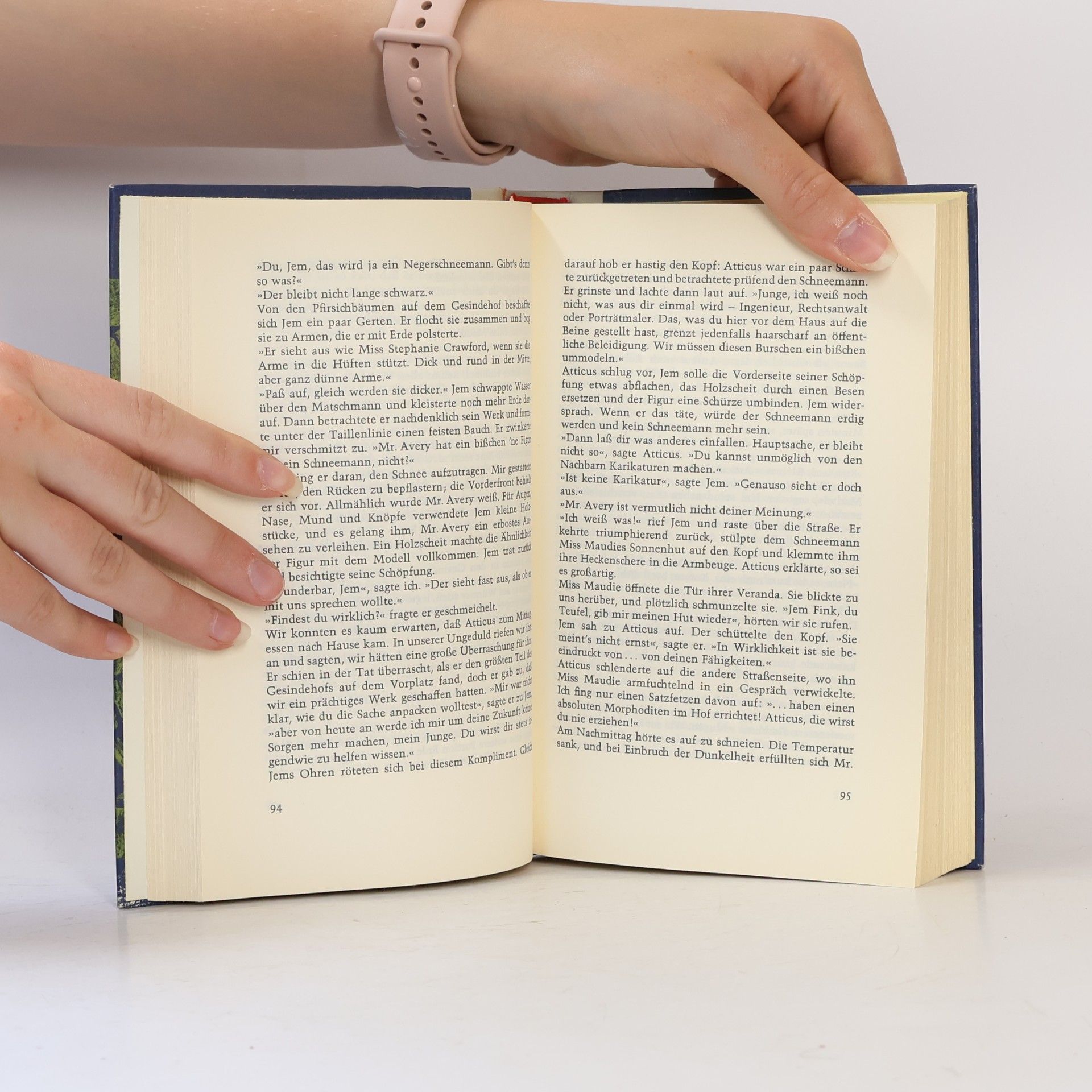 Harper Lee Wer die Nachtigall stört