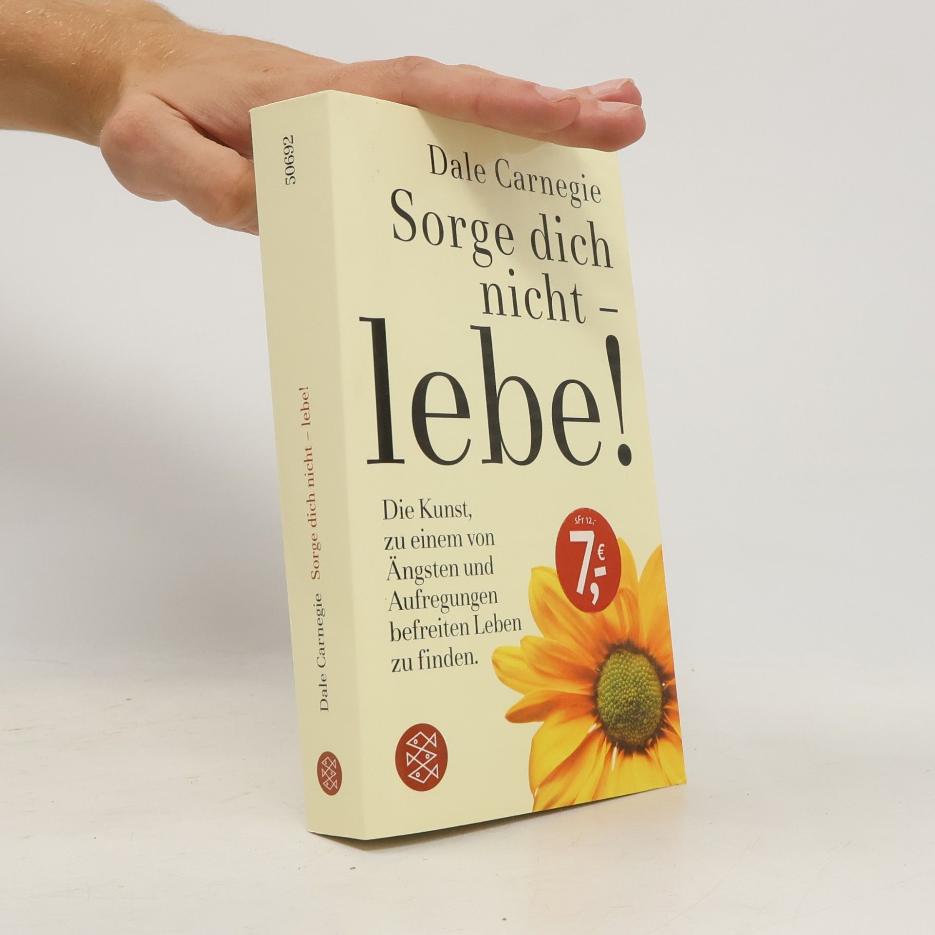 Dale Carnegie Sorge dich nicht - lebe!
