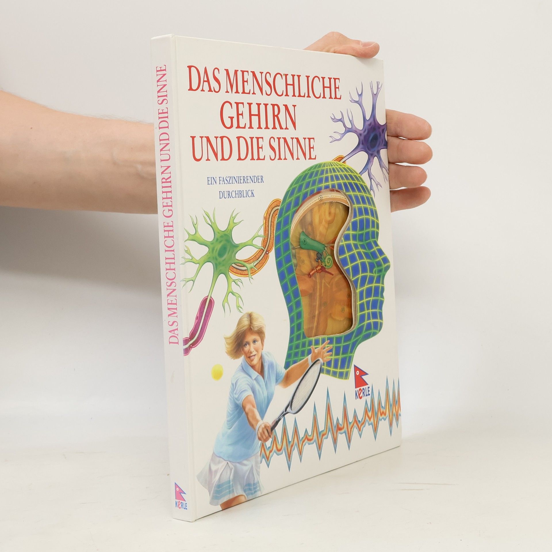 Jenny Bryan Das menschliche Gehirn und seine Sinne