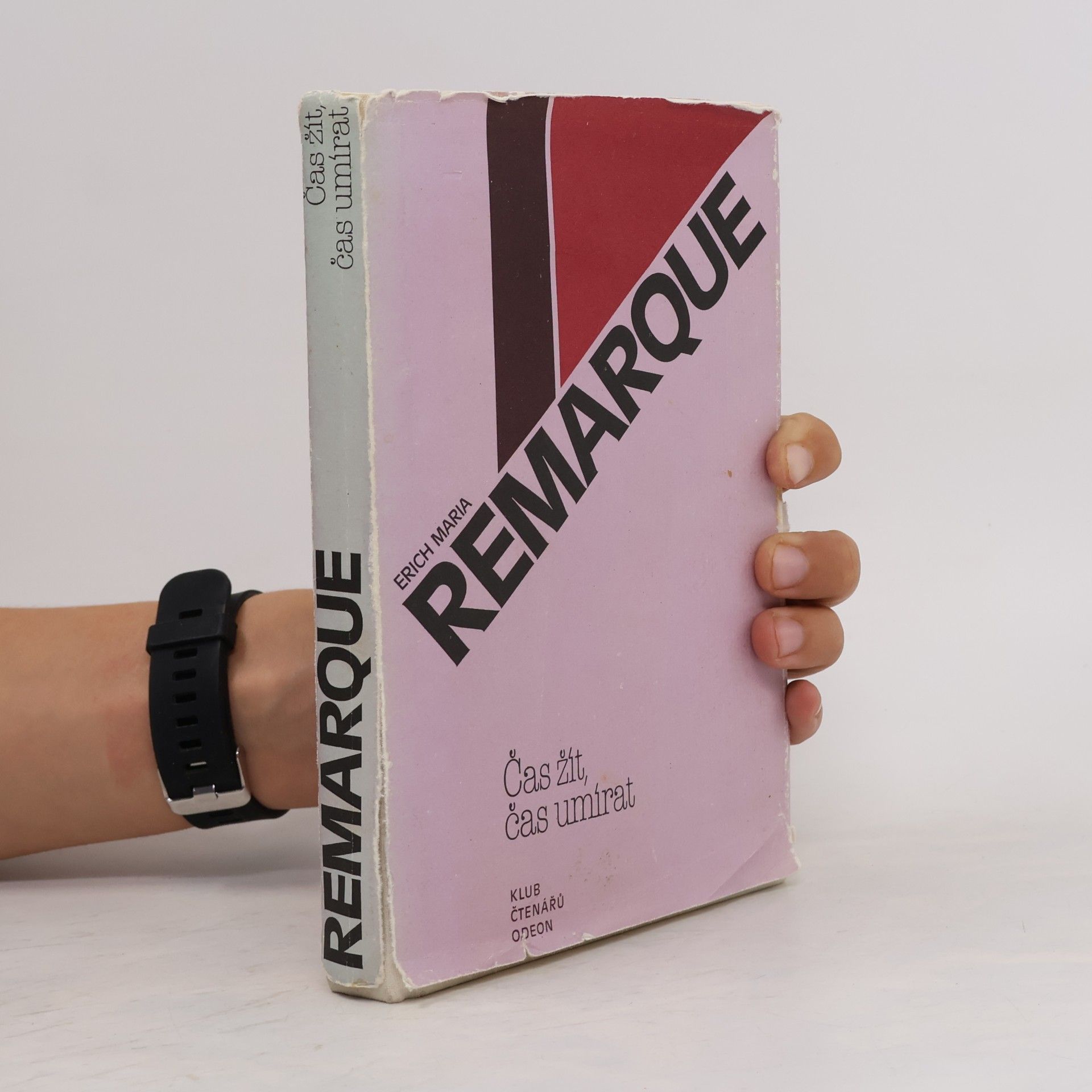 Erich Maria Remarque Čas žít, čas umírat
