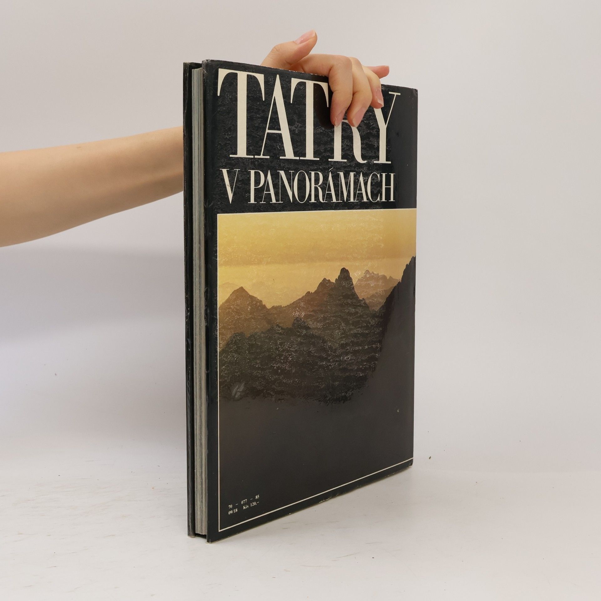 Luboš Brchel Tatry v panorámach