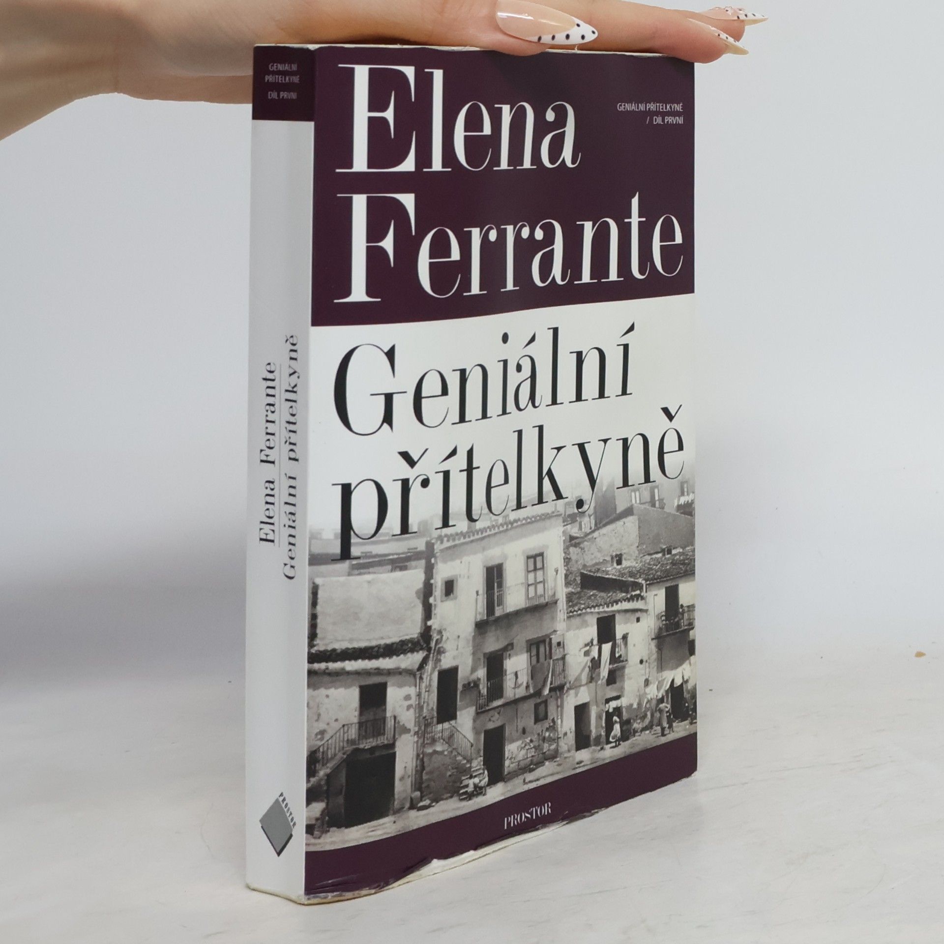 Elena Ferrante Geniální přítelkyně 1. Dětství a dospívání