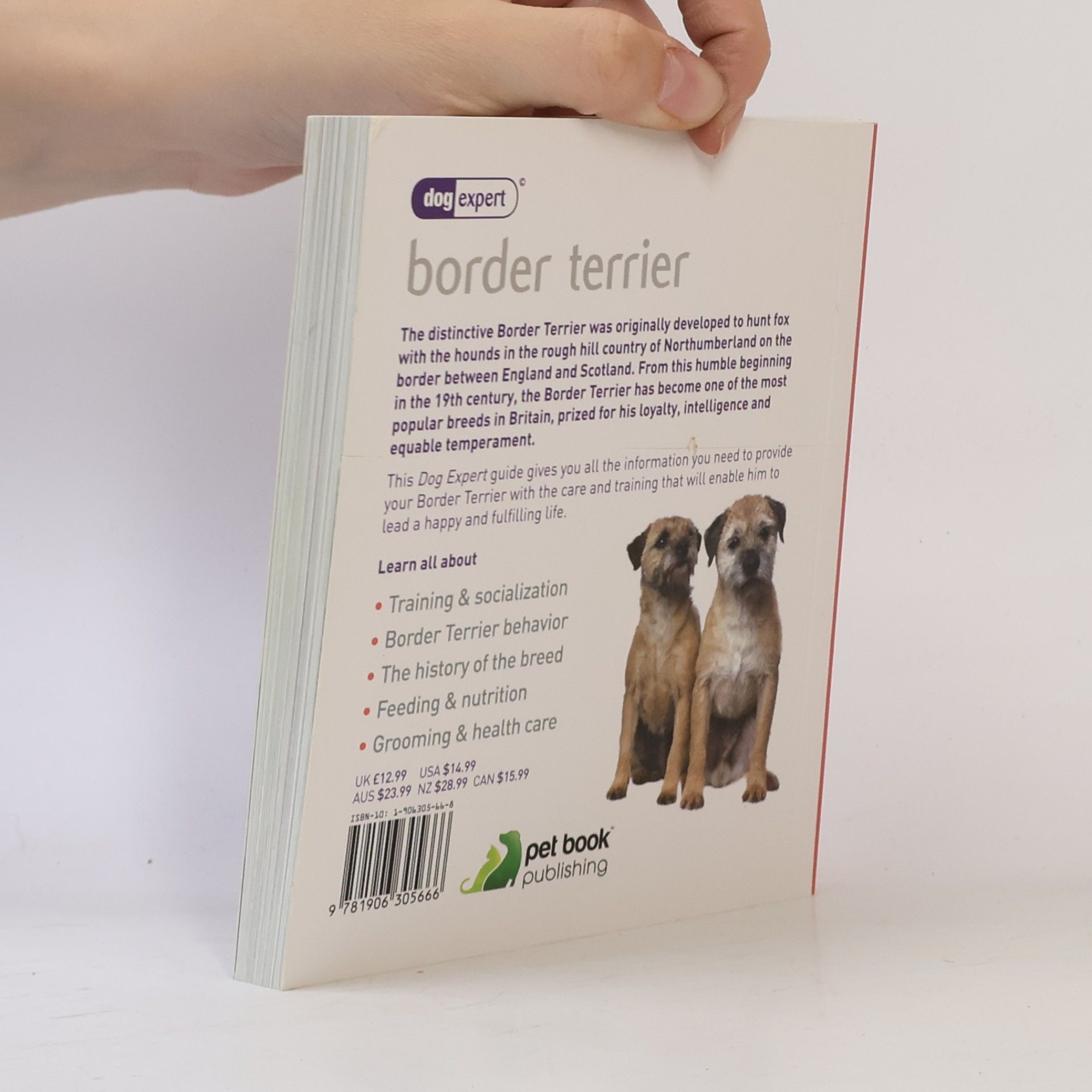 Kathy Wilkinson Border Terrier - Dog Expert