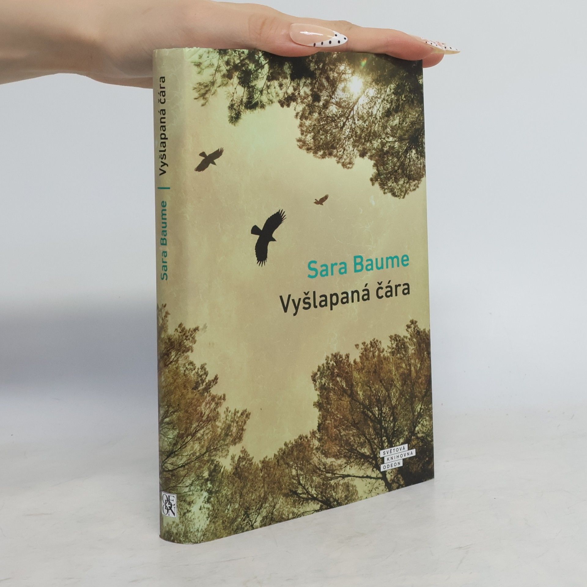 Sara Baume Vyšlapaná čára