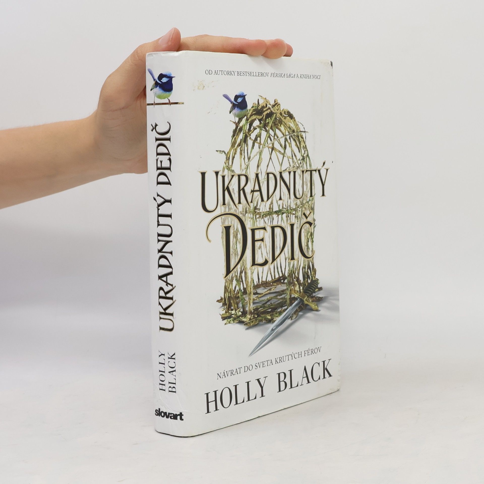 Holly Black Ukradnutý Dedič