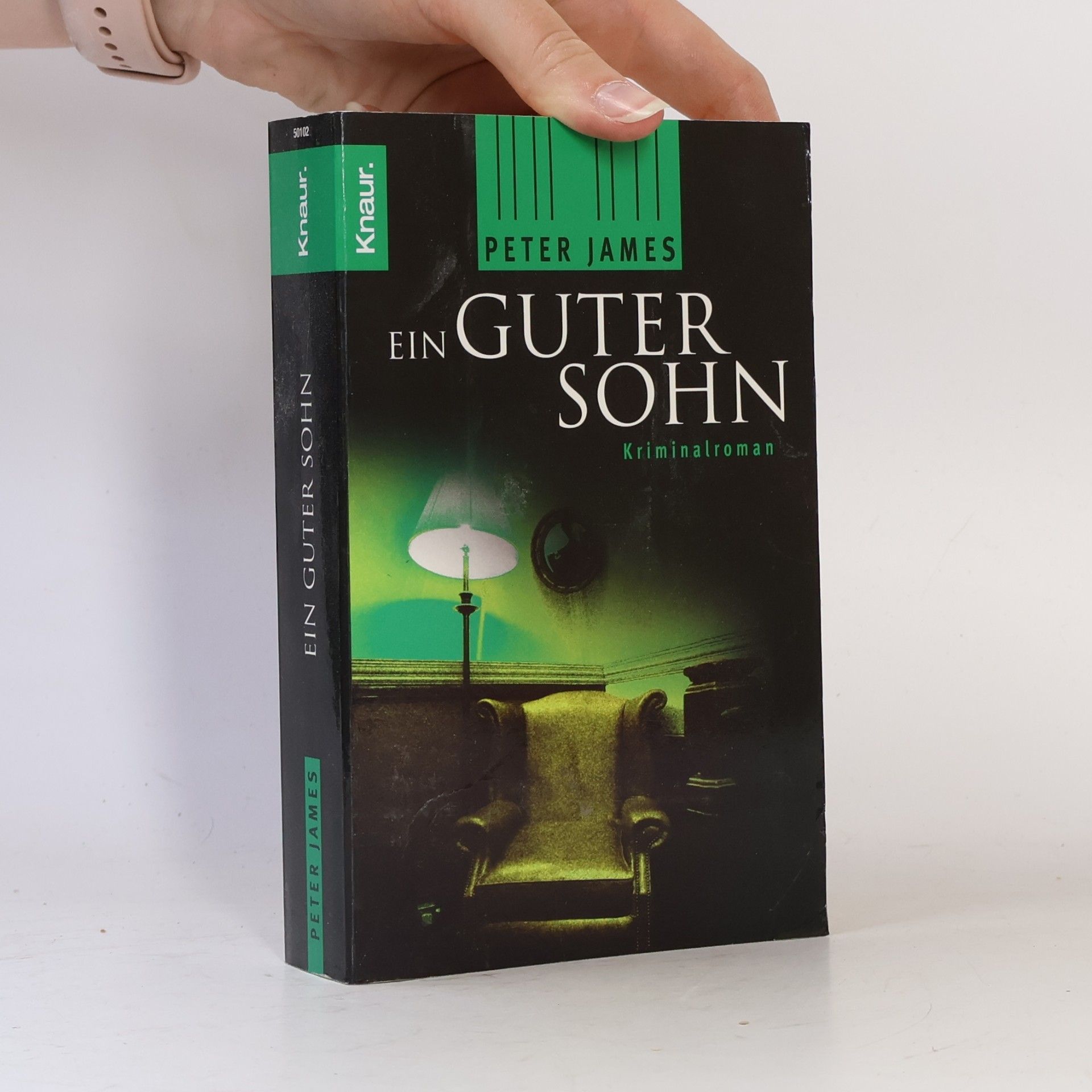 Peter James Ein guter Sohn. Thriller