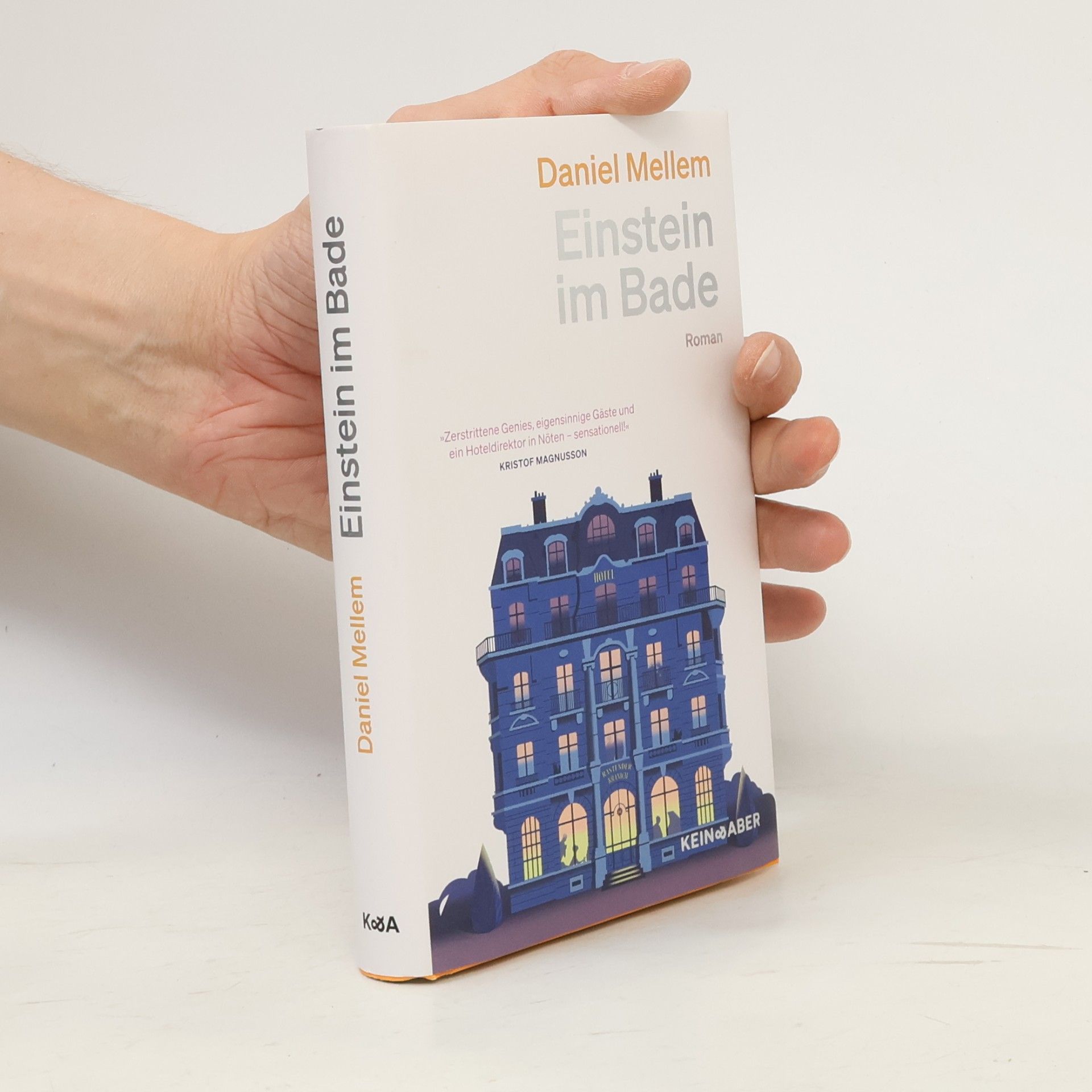 Daniel Mellem Einstein im Bade
