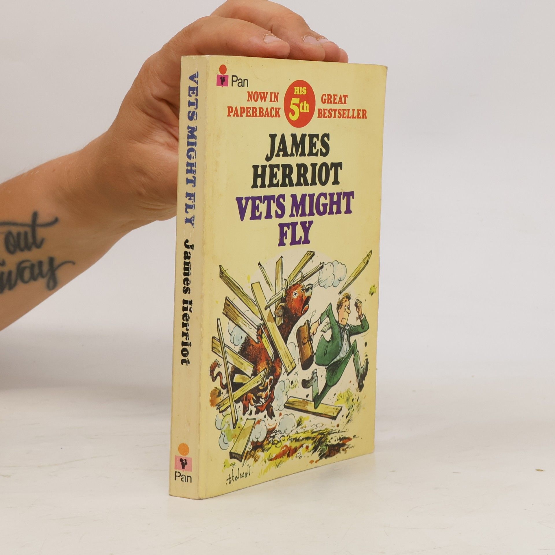 James Herriot Vets might fly