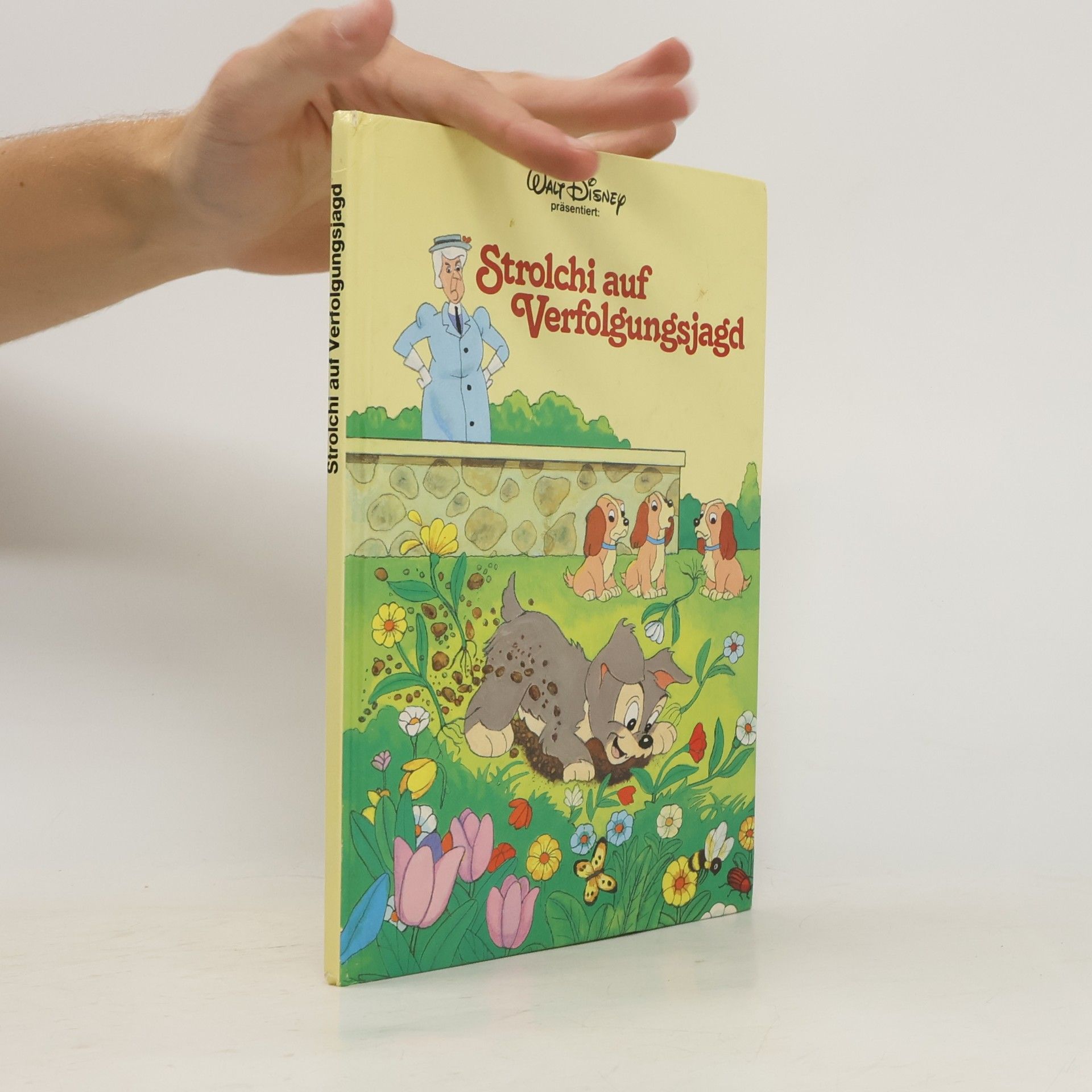 Autorenkollektiv Strolchi auf Verfolgungsjagd