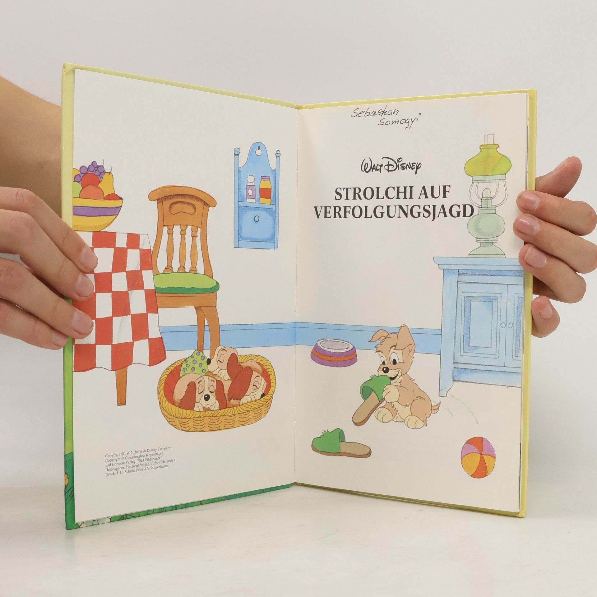 Autorenkollektiv Strolchi auf Verfolgungsjagd