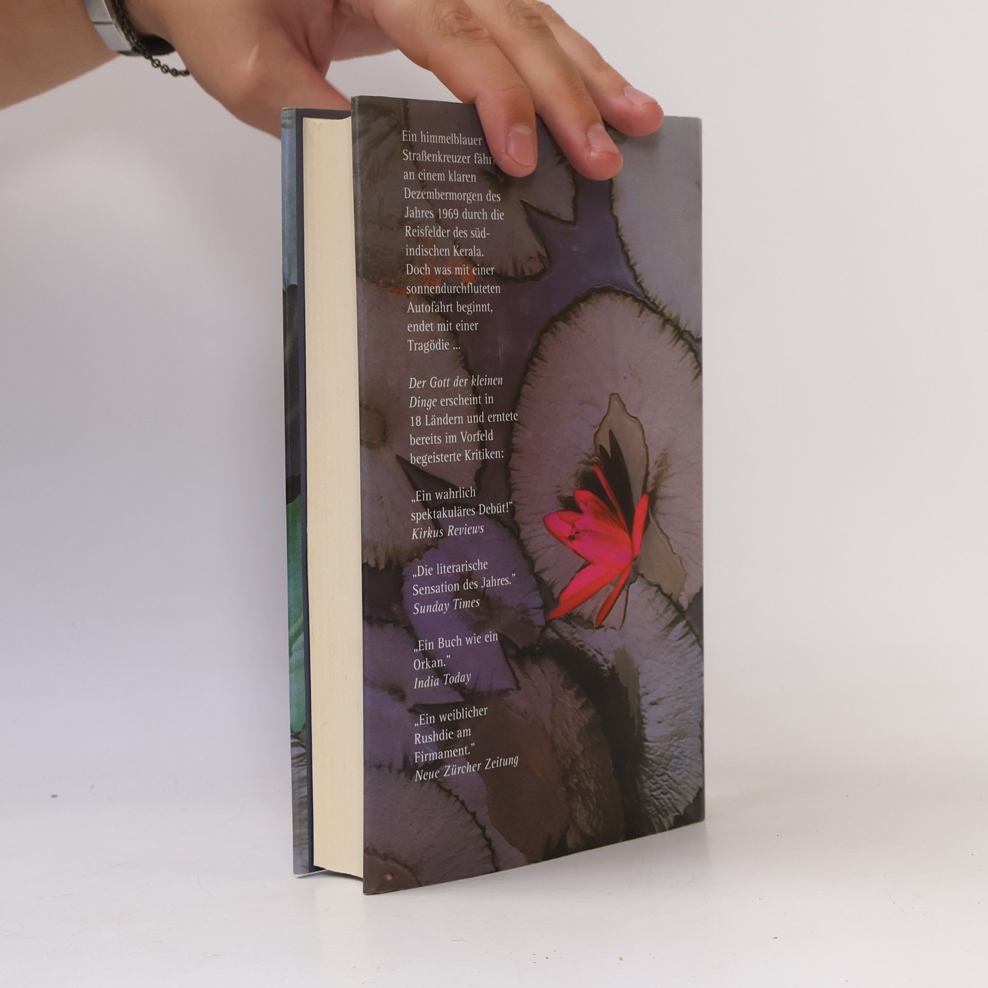 Arundhati Roy Der Gott der Kleinen Dinge