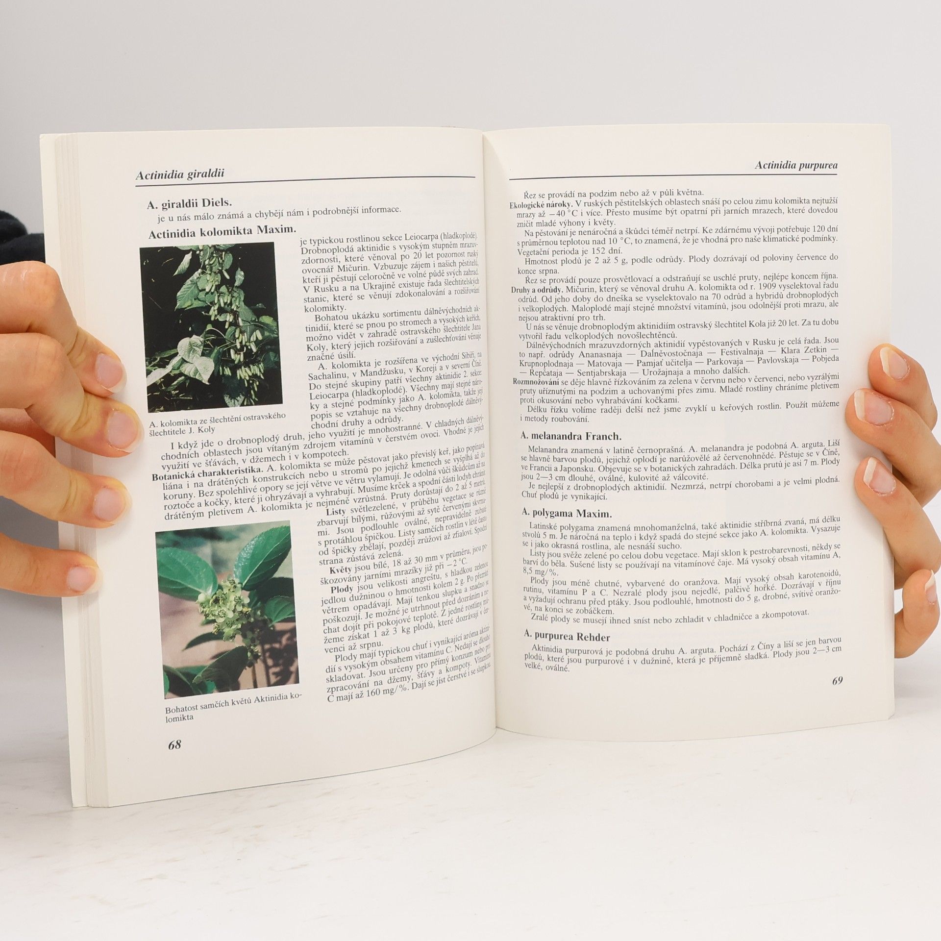 Jiří Šamla Subtropy I.: Pěstitelské praktikum A
