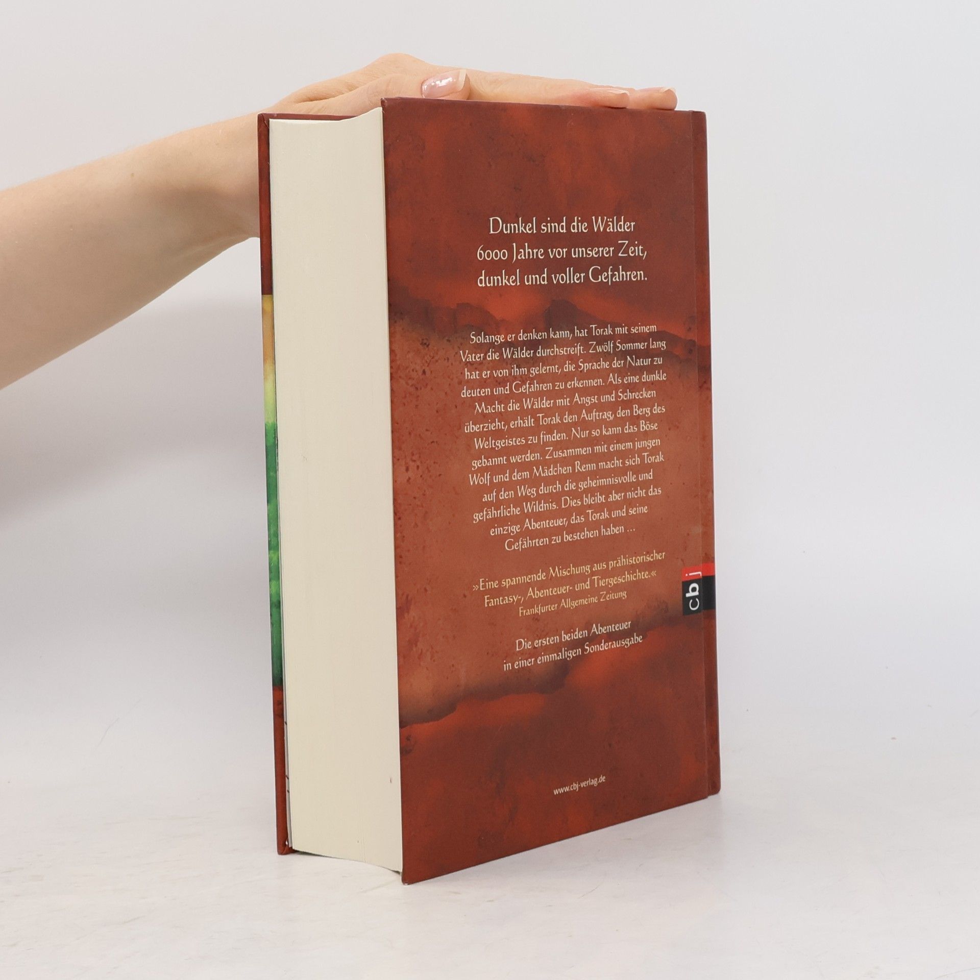 Katharina Orgaß Chronik der dunklen Wälder
