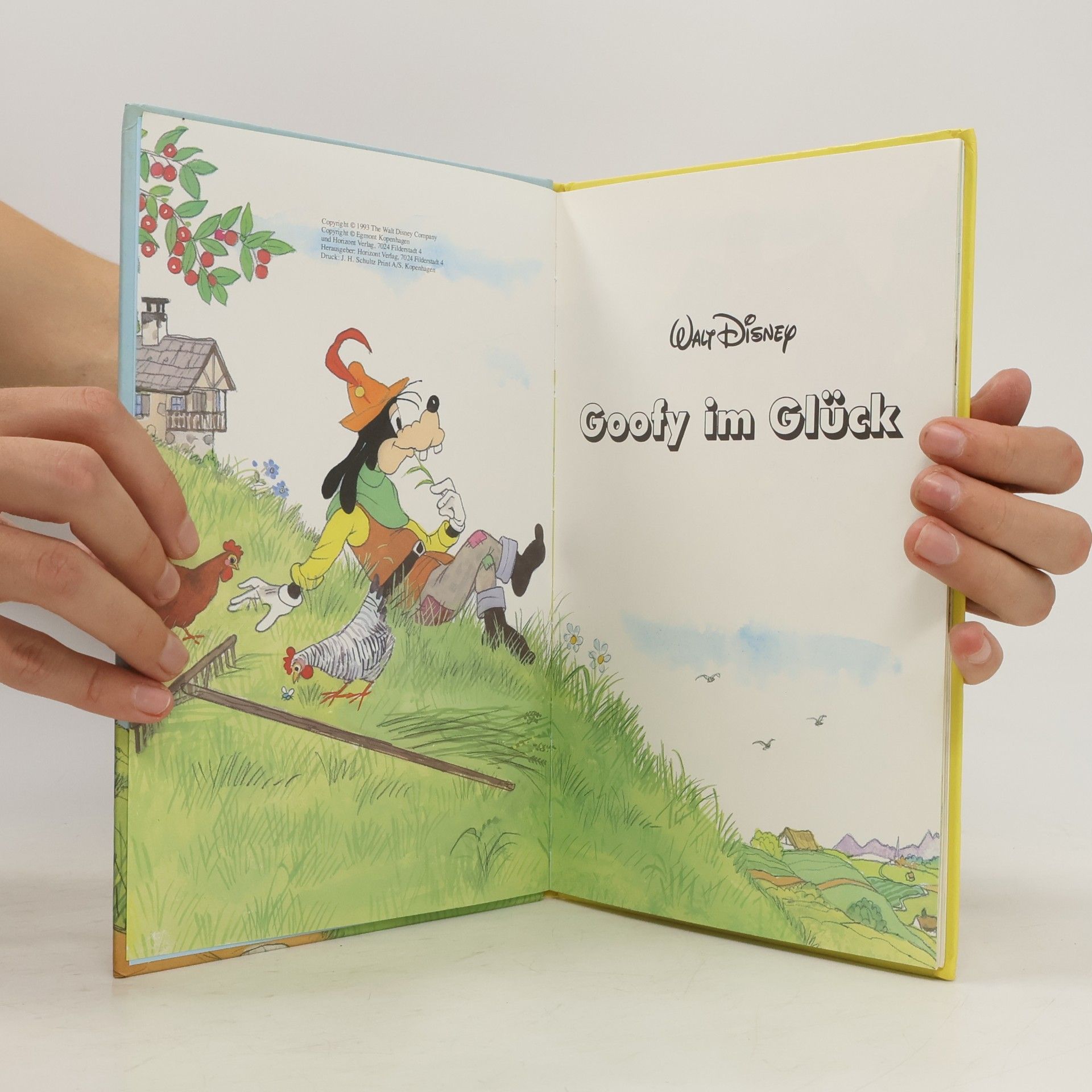 Walt Disney Goofy im Glück