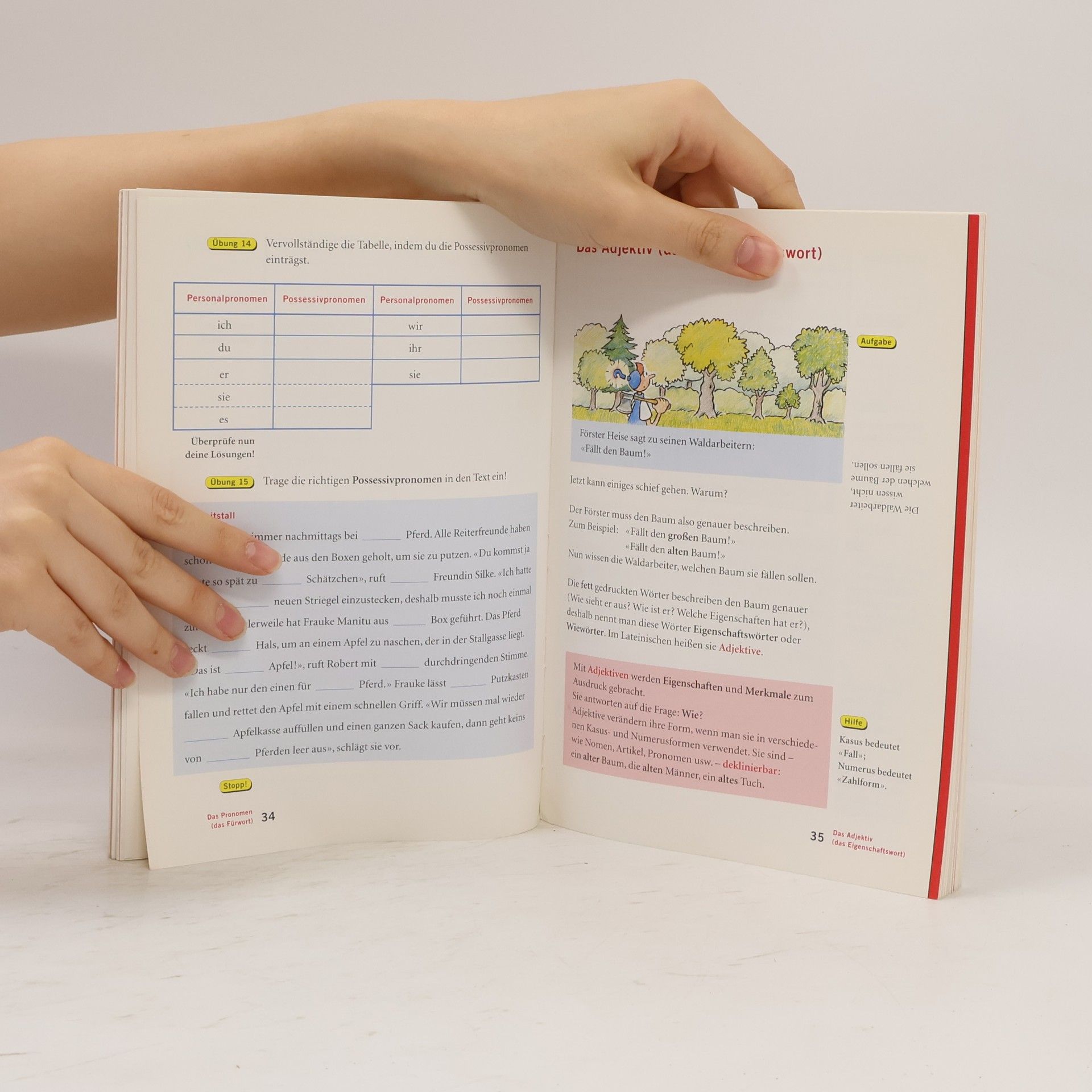 Käthe-Ursula Kuhn-Kalms Klipp & Klar Lerntrainer: Deutsch, 5. und 6. Klasse. Grammatik