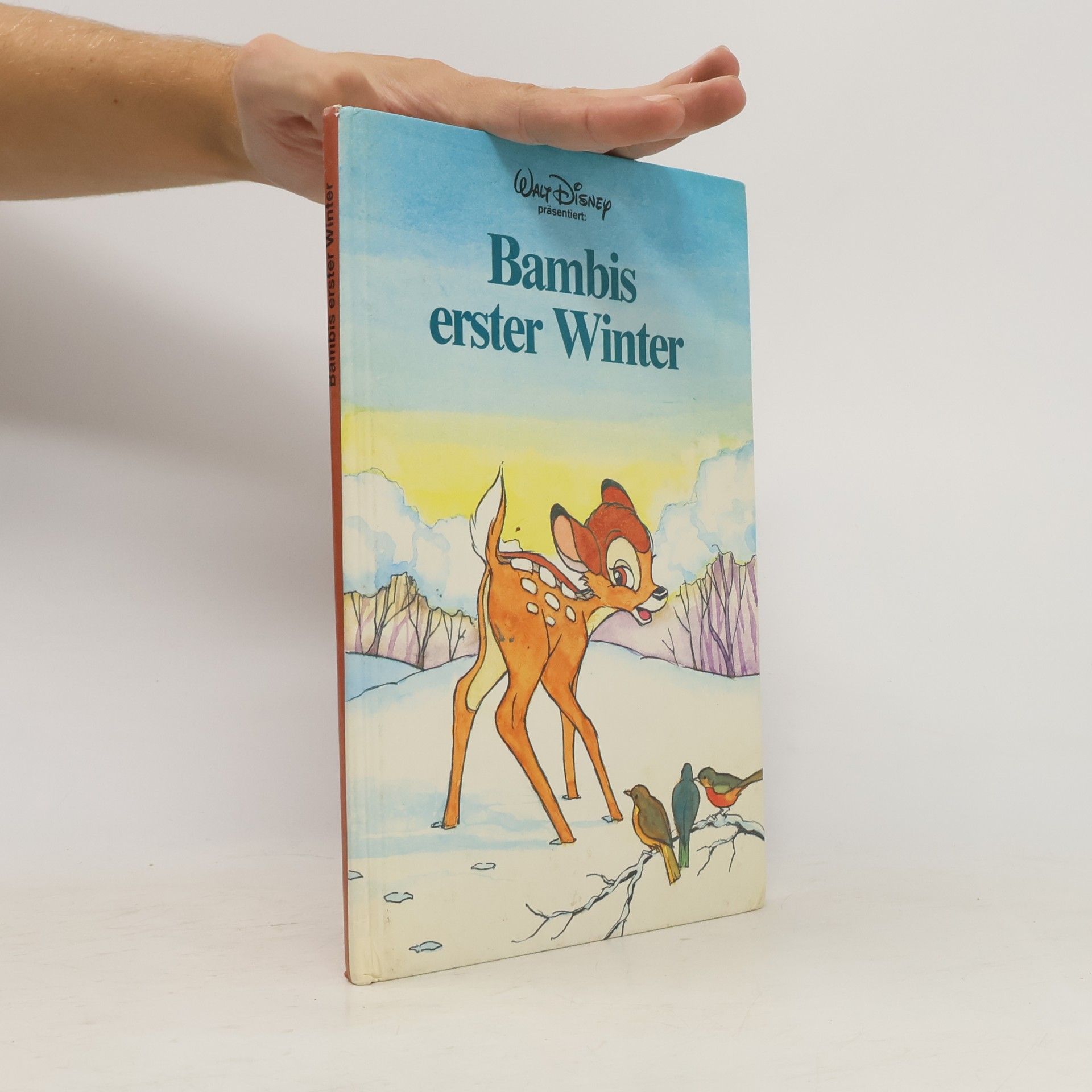 Autorenkollektiv Bambis erster Winter