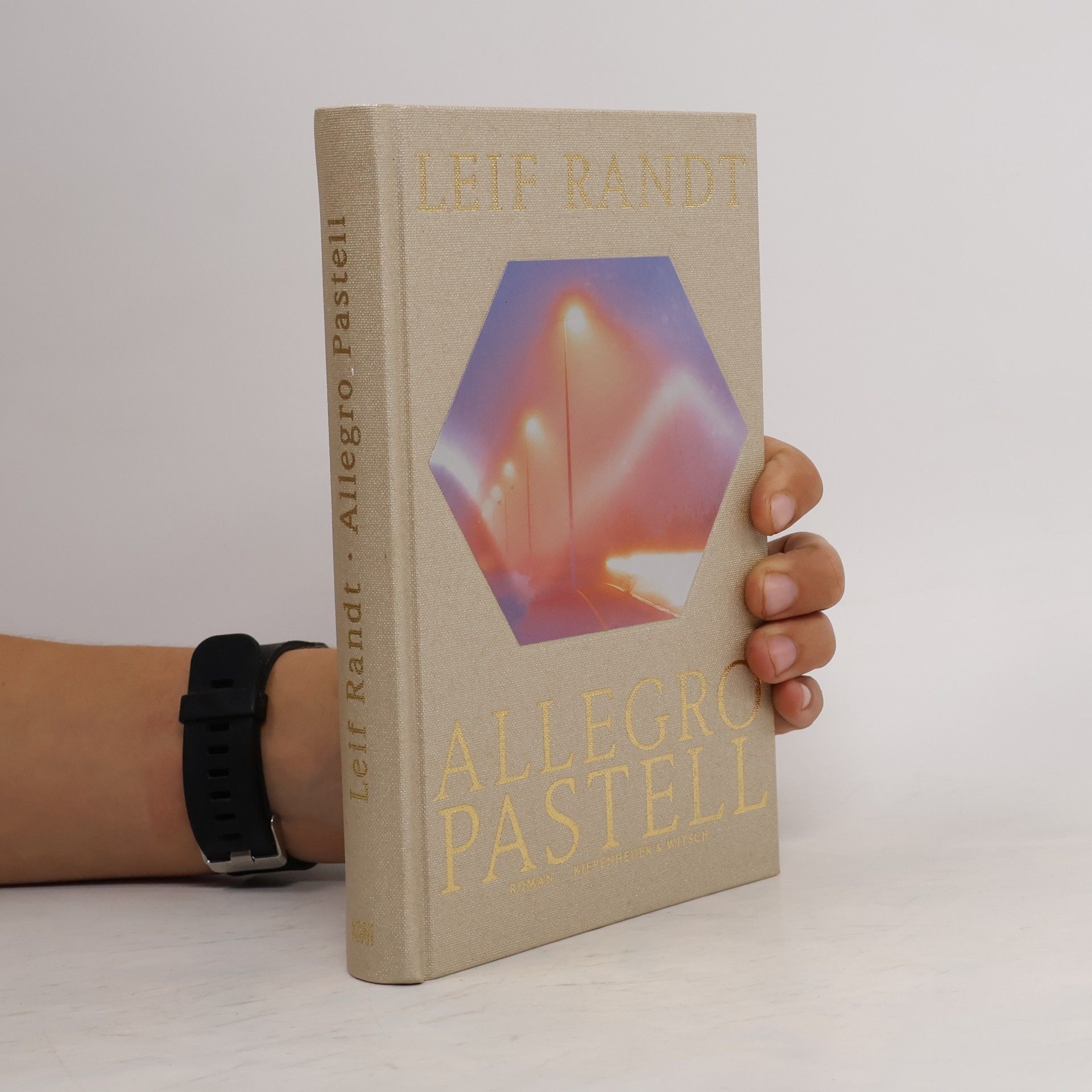 Leif Randt Allegro Pastell