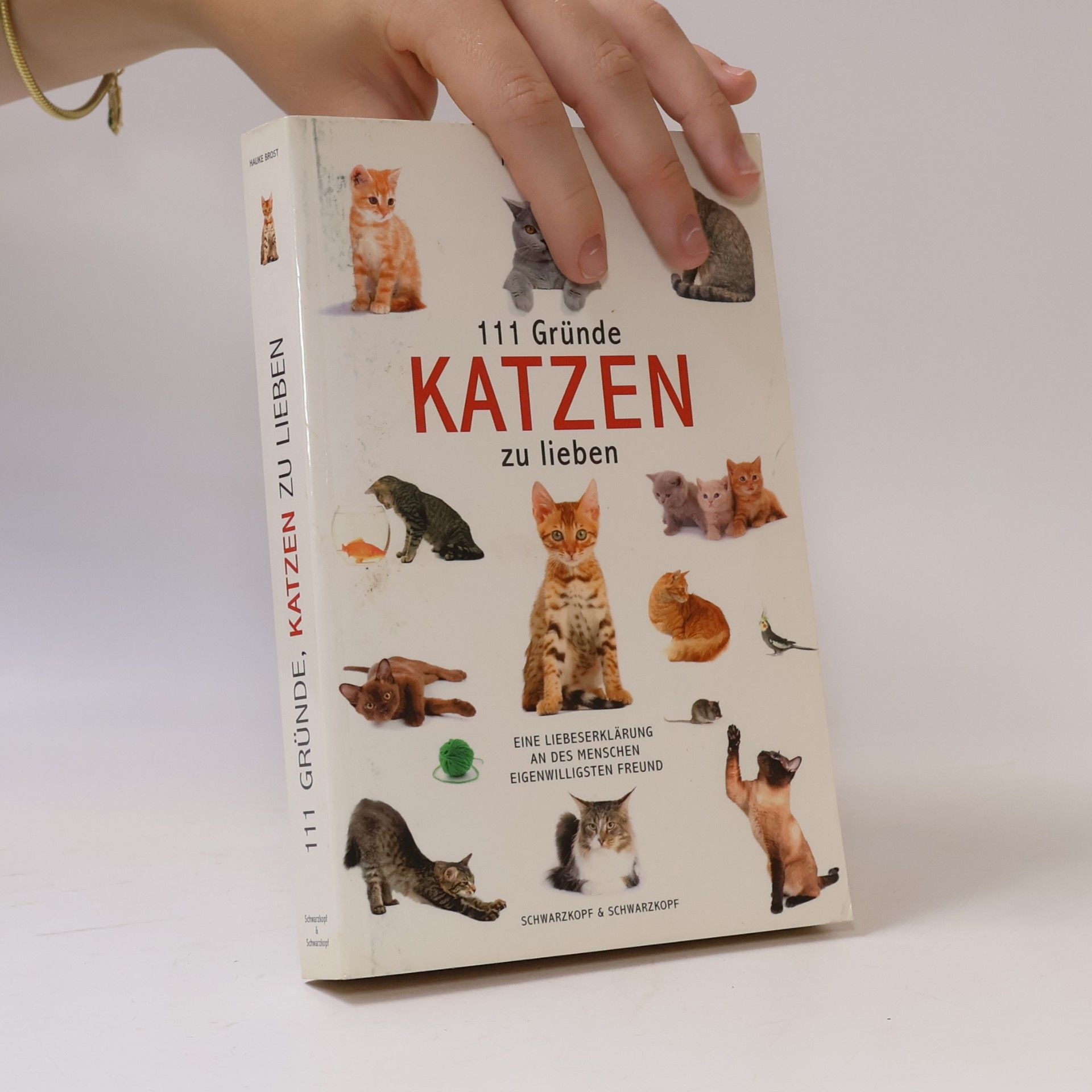 Hauke Brost 111 Gründe, Katzen zu lieben