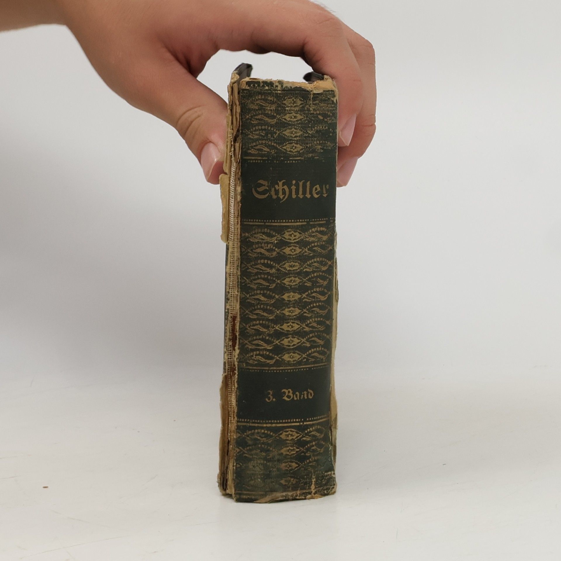 Friedrich Schiller Die Räuber