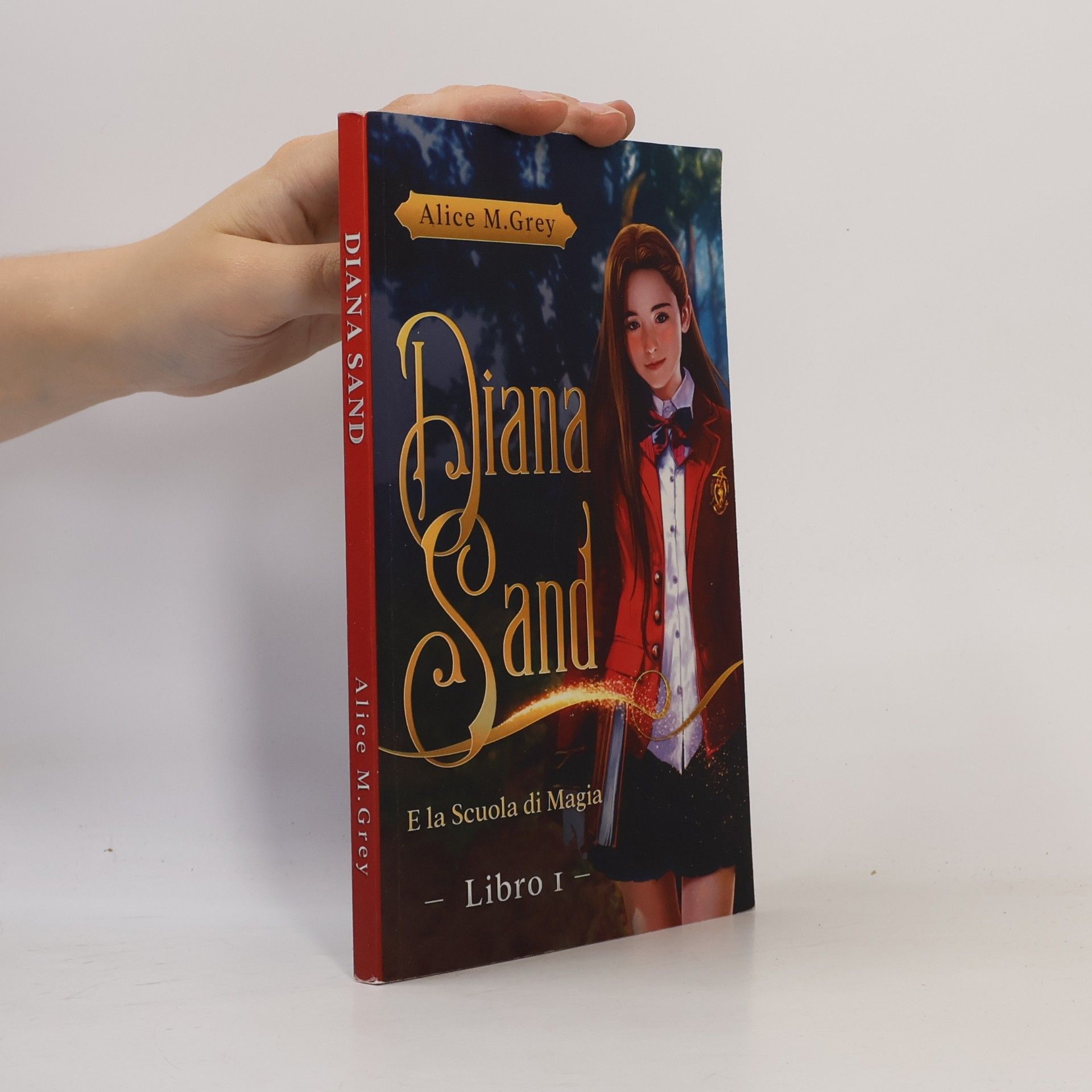 Alice M. Grey Diana Sand - 1: Diana Sand e la Scuola di Magia