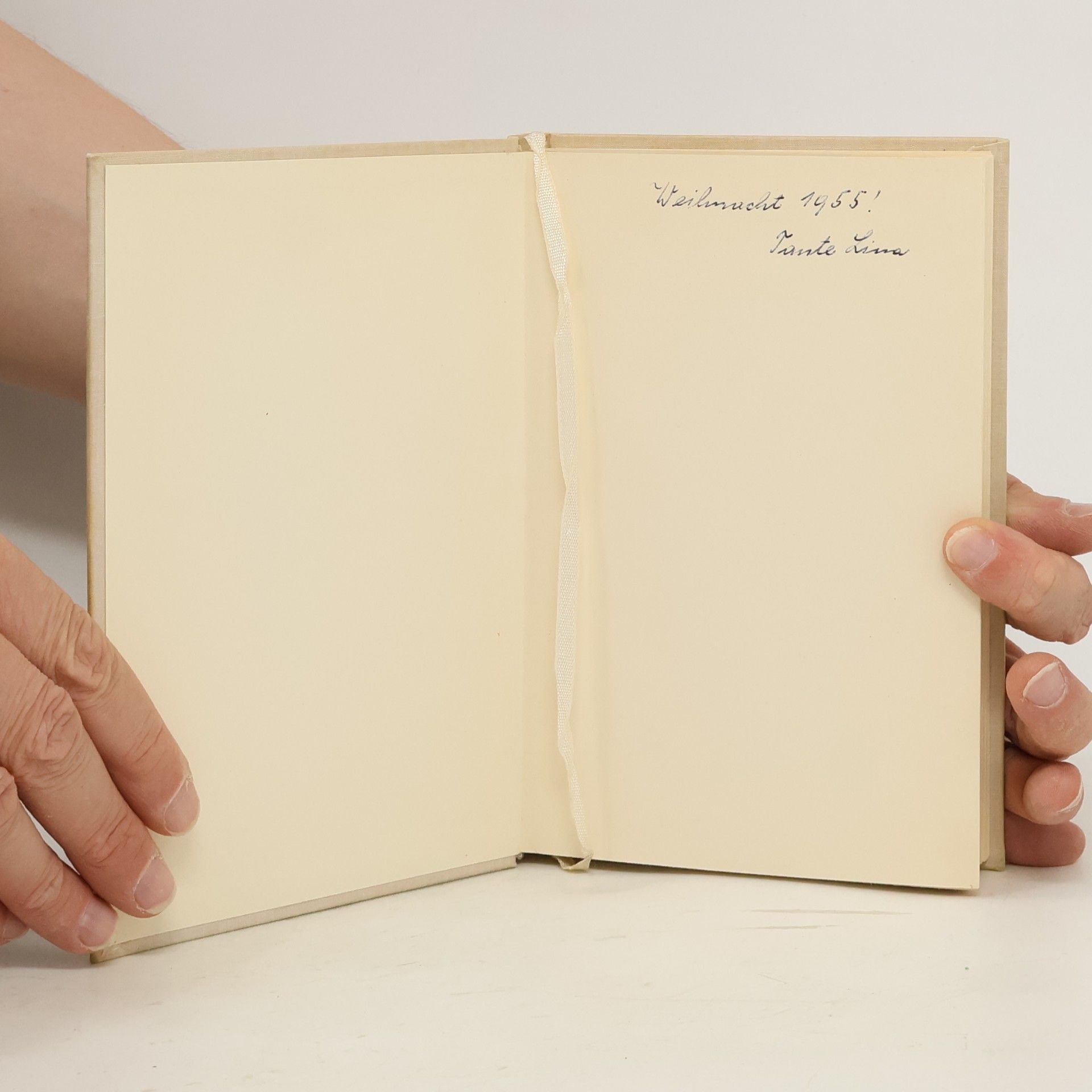 Ila Egger Lienz Das Veilchenbeet