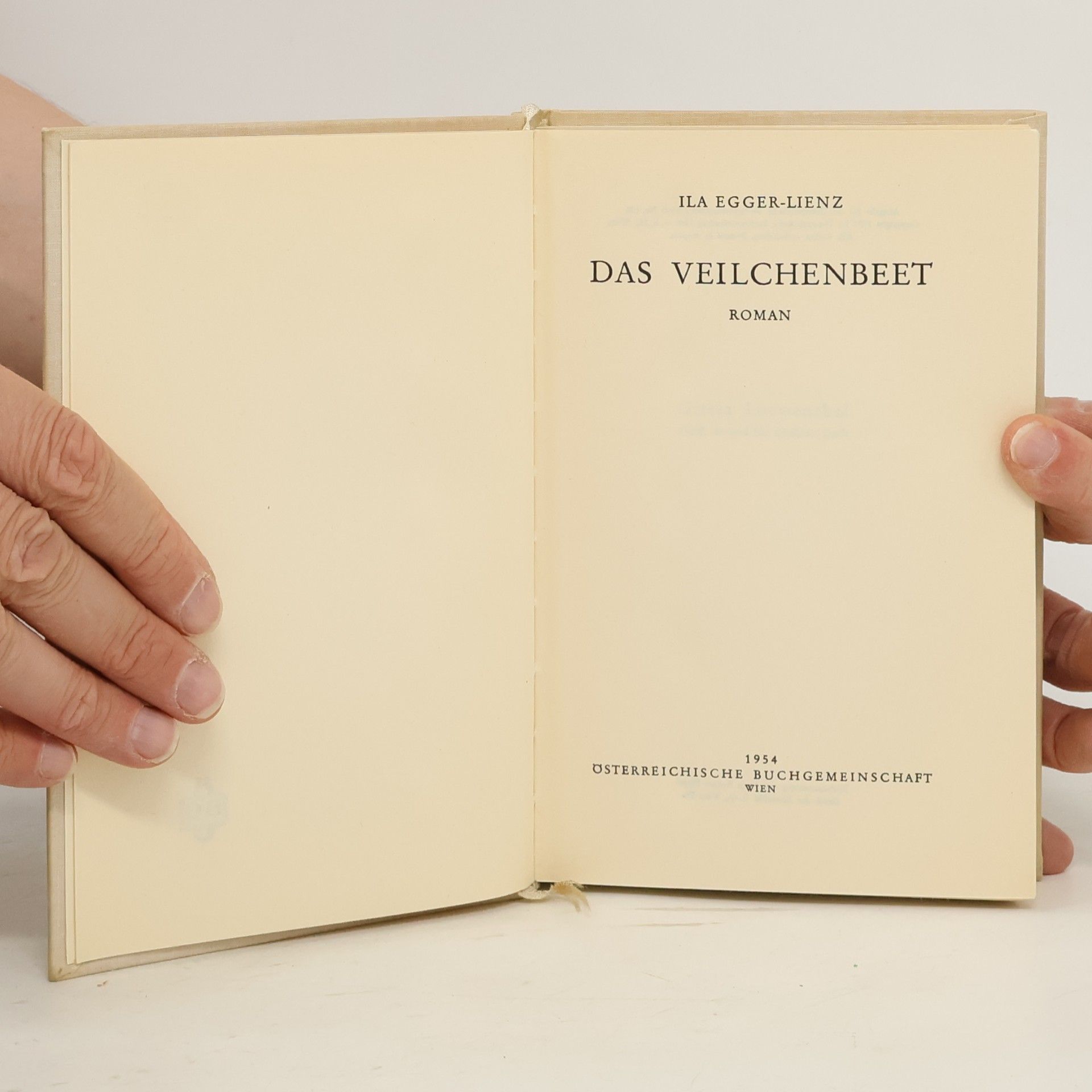 Ila Egger Lienz Das Veilchenbeet