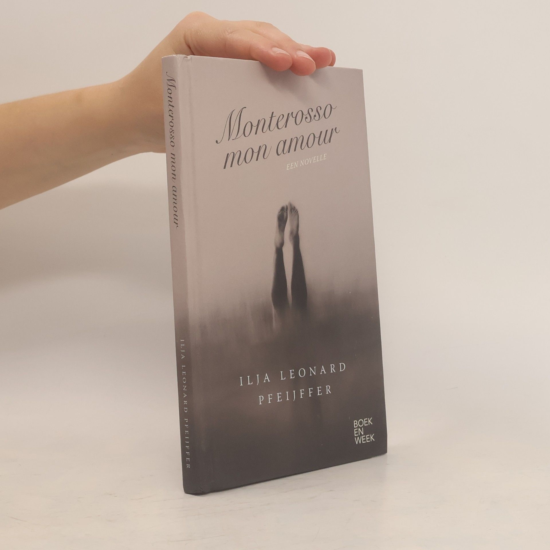 Ilja Leonard Pfeijffer Monterosso mon amour