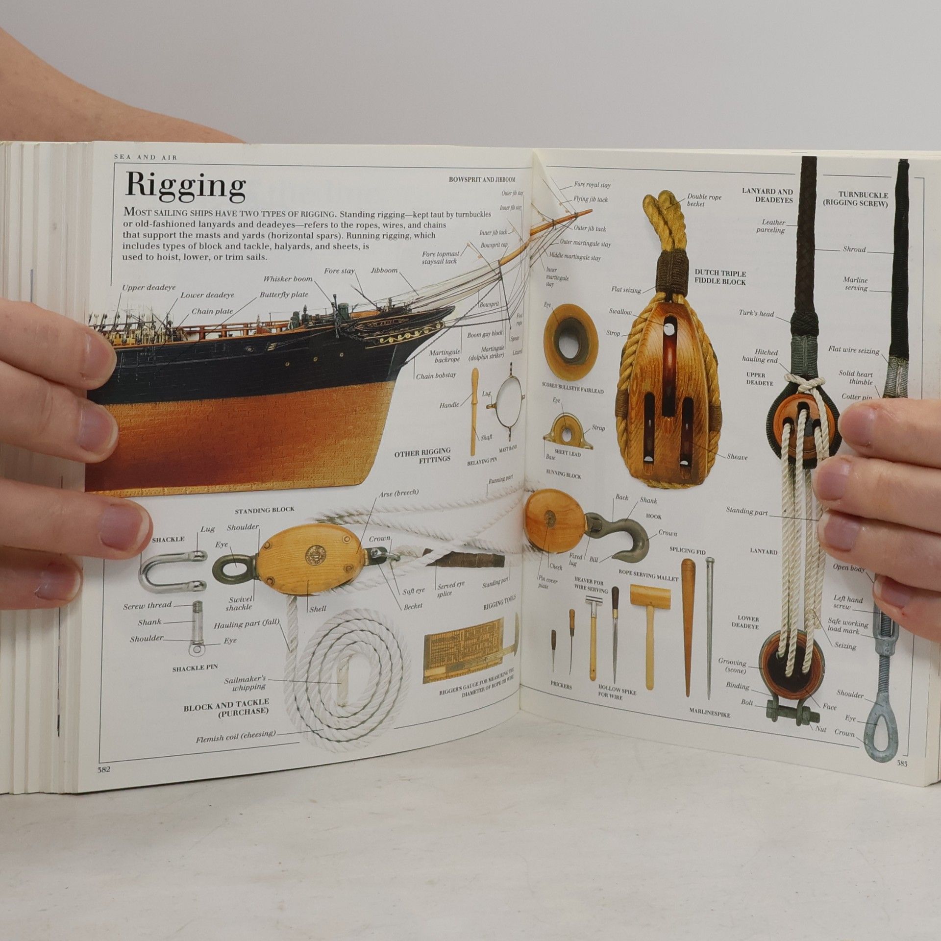 Jo Evans Ultimate Visual Dictionary