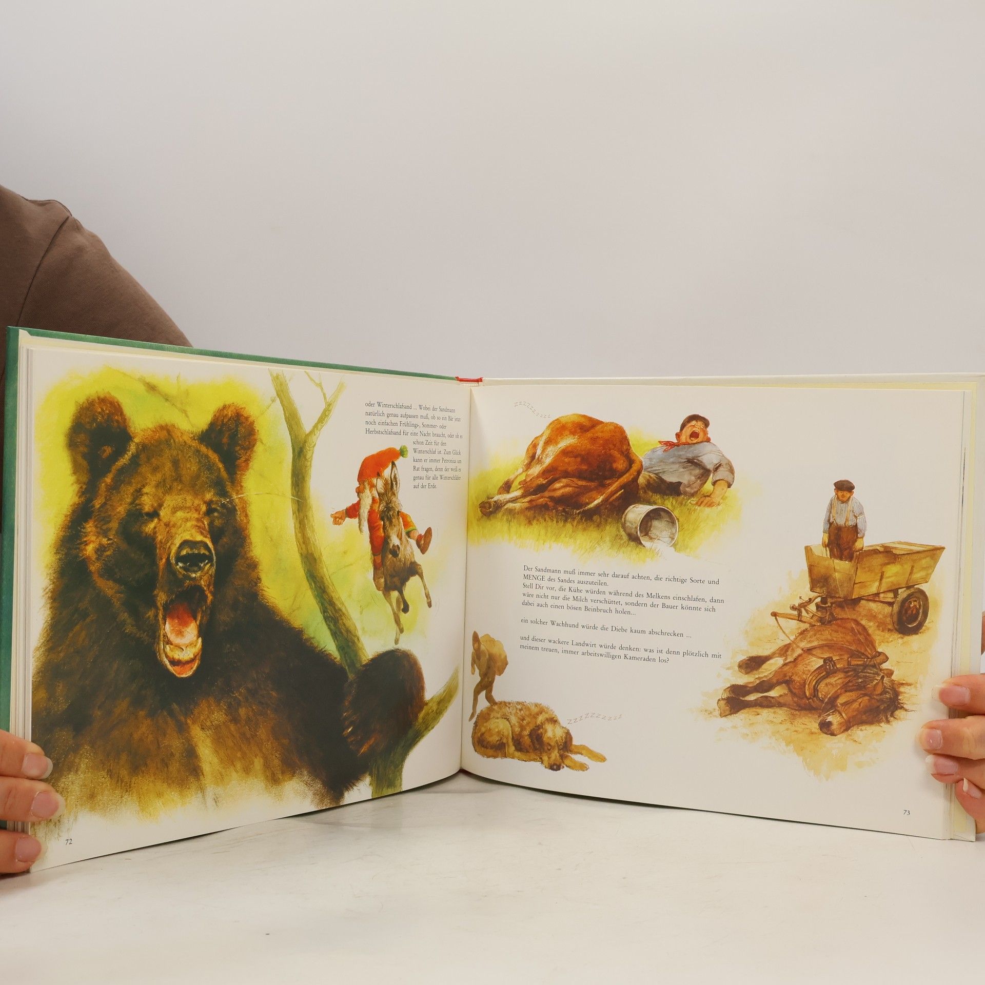 Wil Huygen Das Buch vom Sandmann und das ABC vom Schlaf