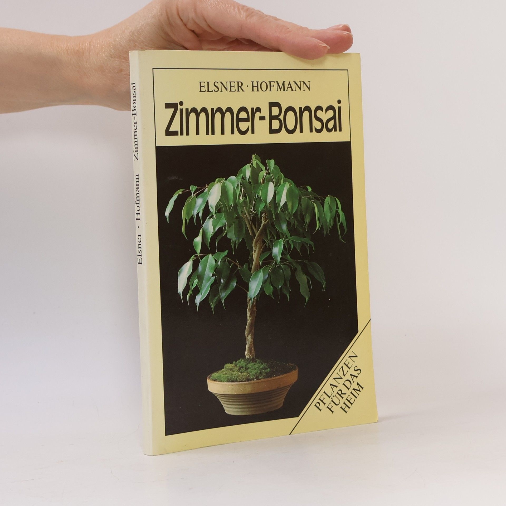 Zimmer-Bonsai
