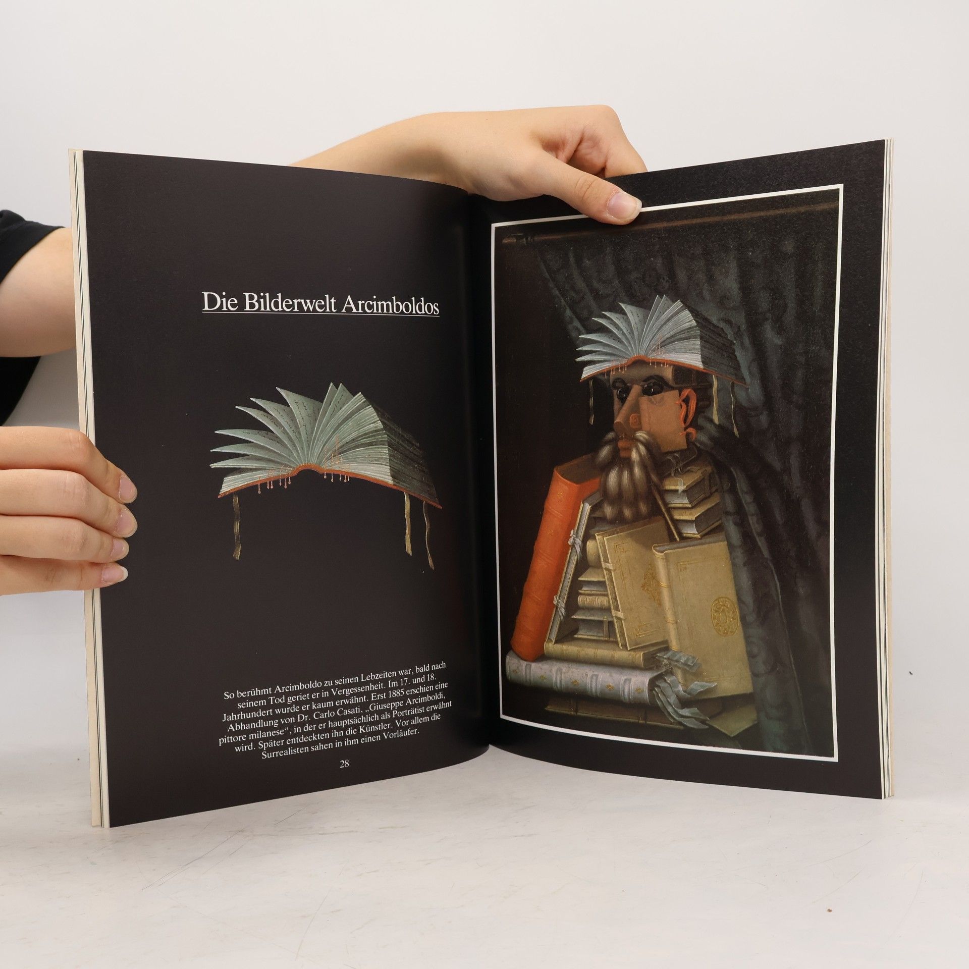 Werner Kriegeskorte Giuseppe Arcimboldo