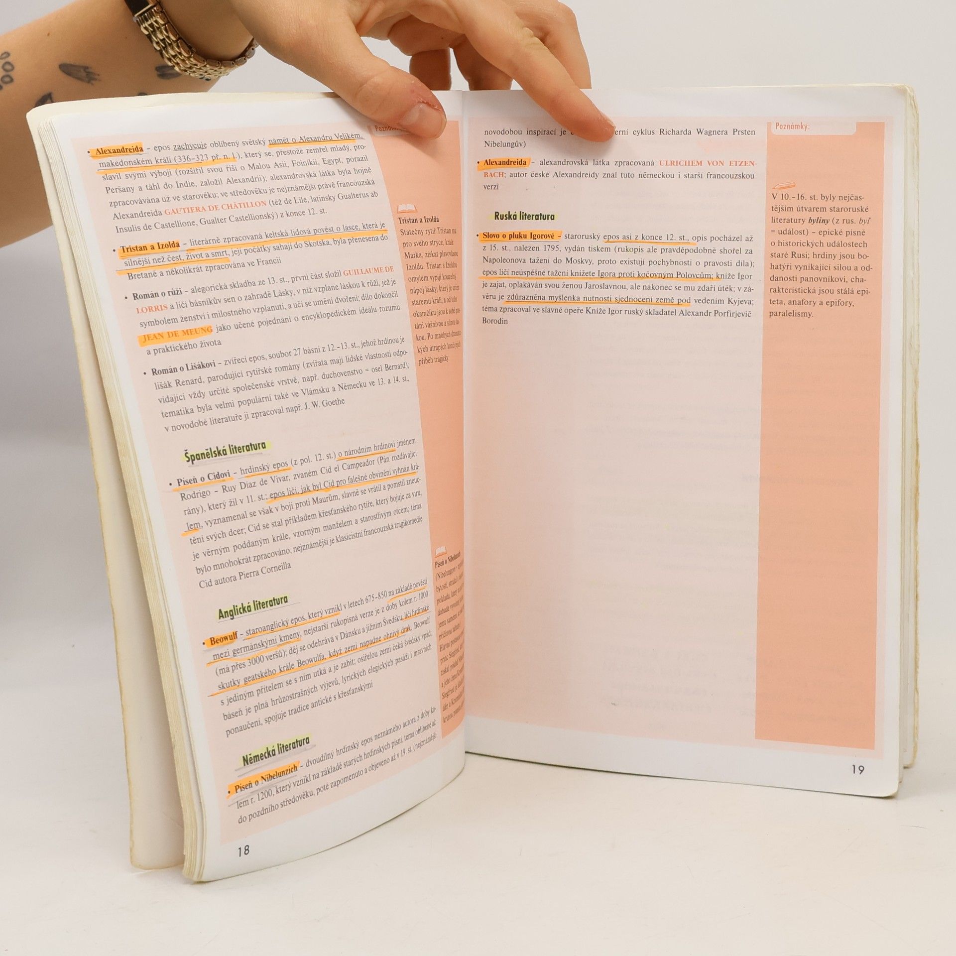 Eva Hánová Odmaturuj! z literatury
