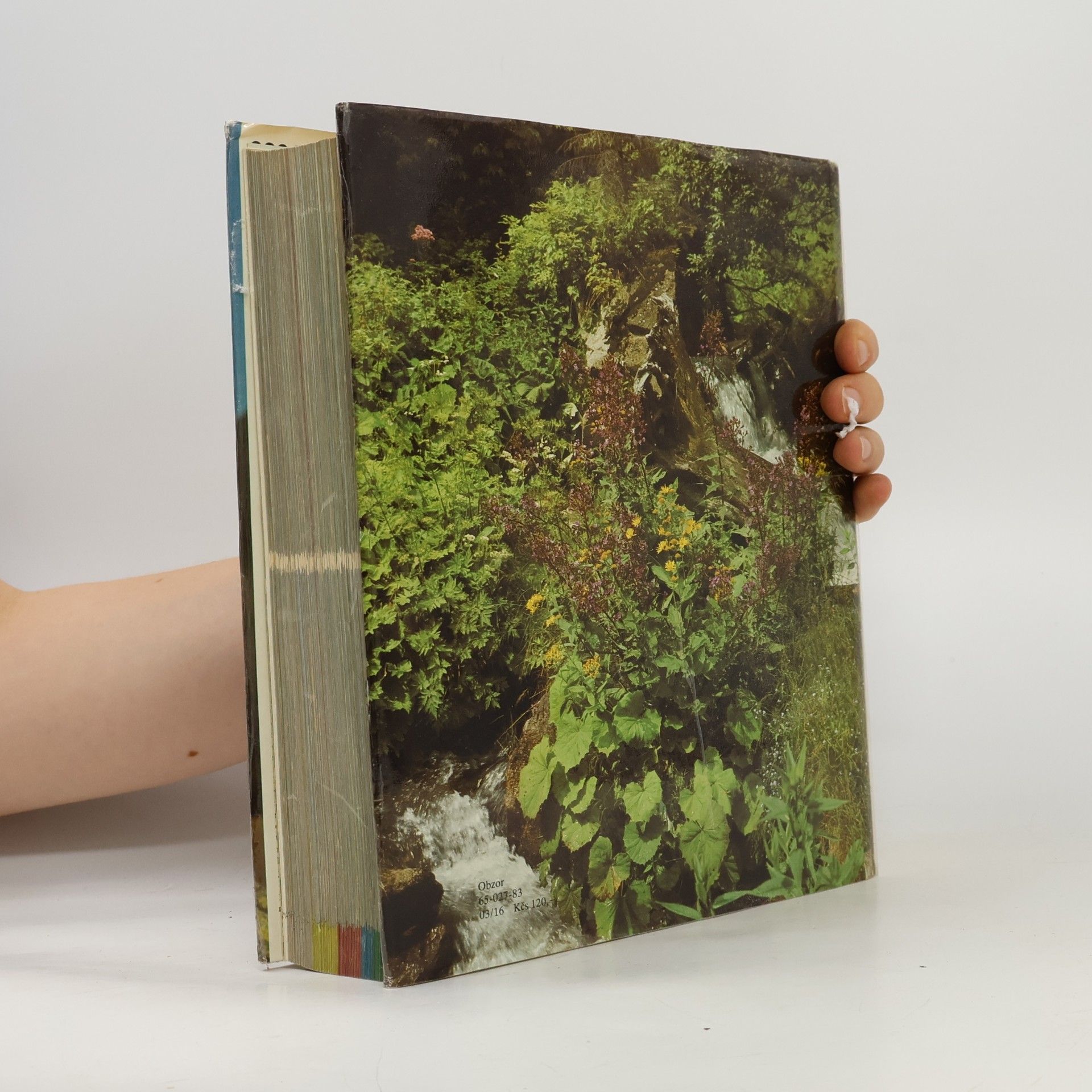 Izabela Háberová Barevný atlas rostlin