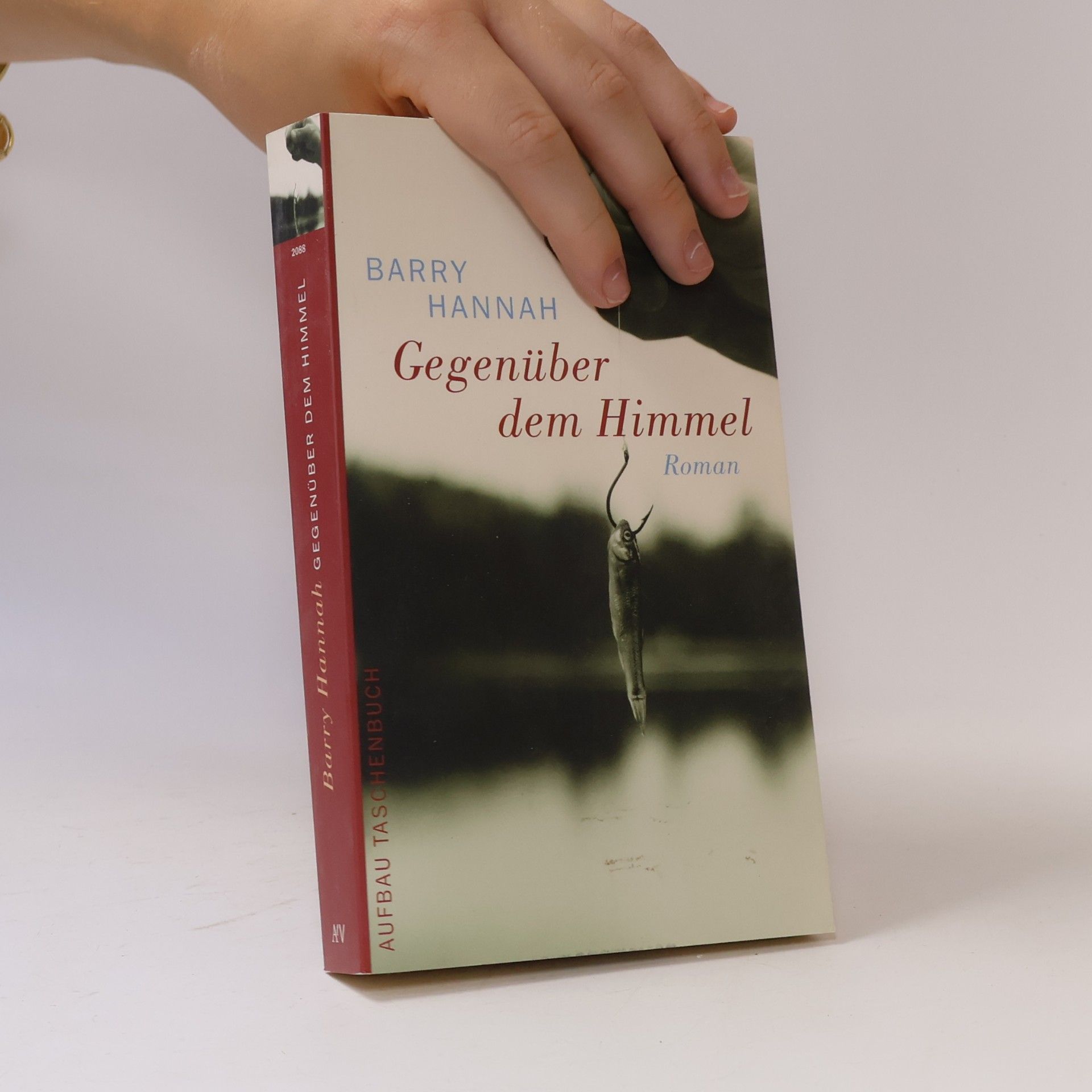 Barry Hannah Gegenüber dem Himmel