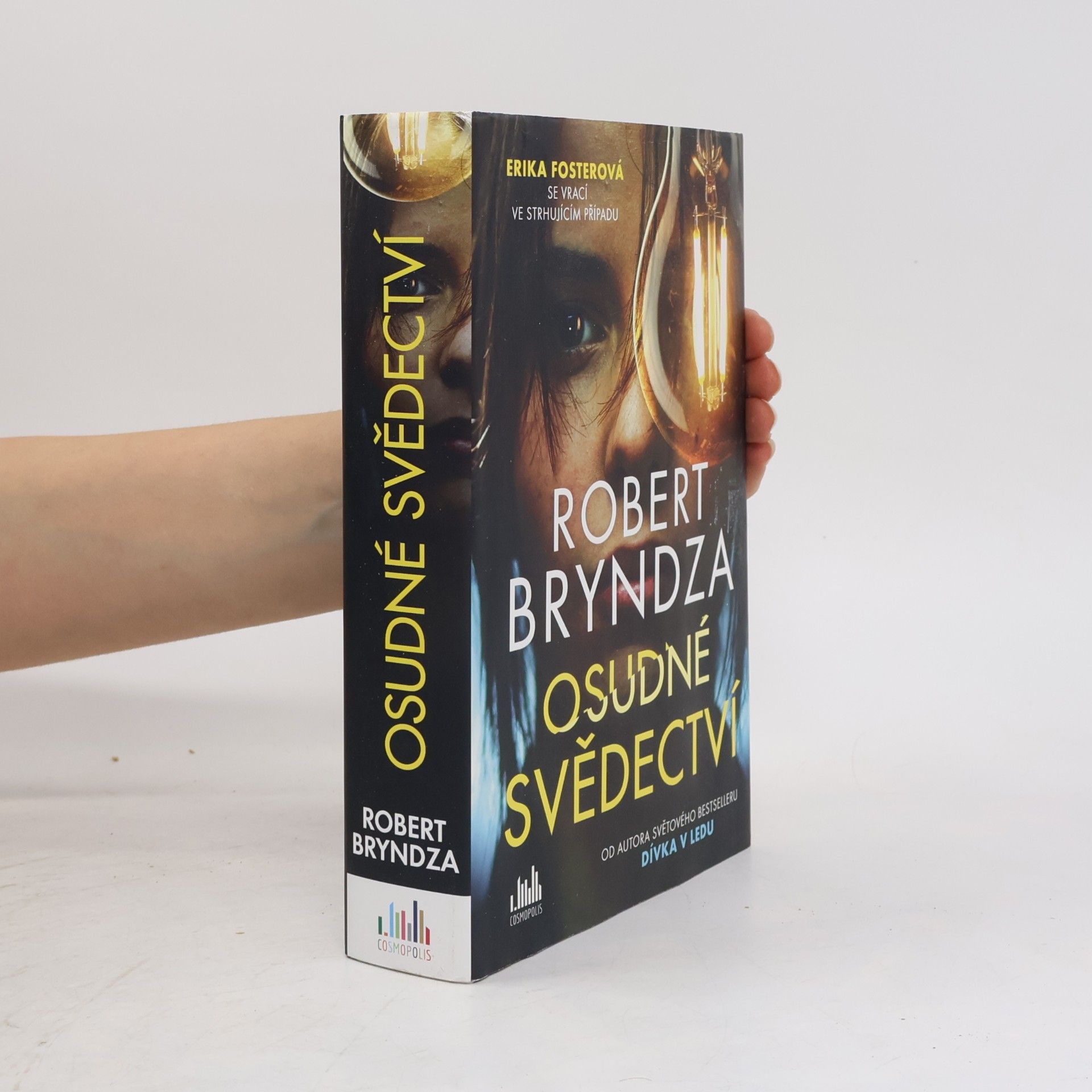 Robert Bryndza Osudné svědectví