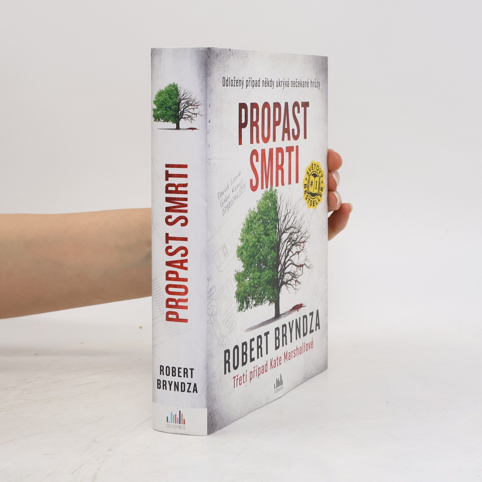 Robert Bryndza Propast smrti