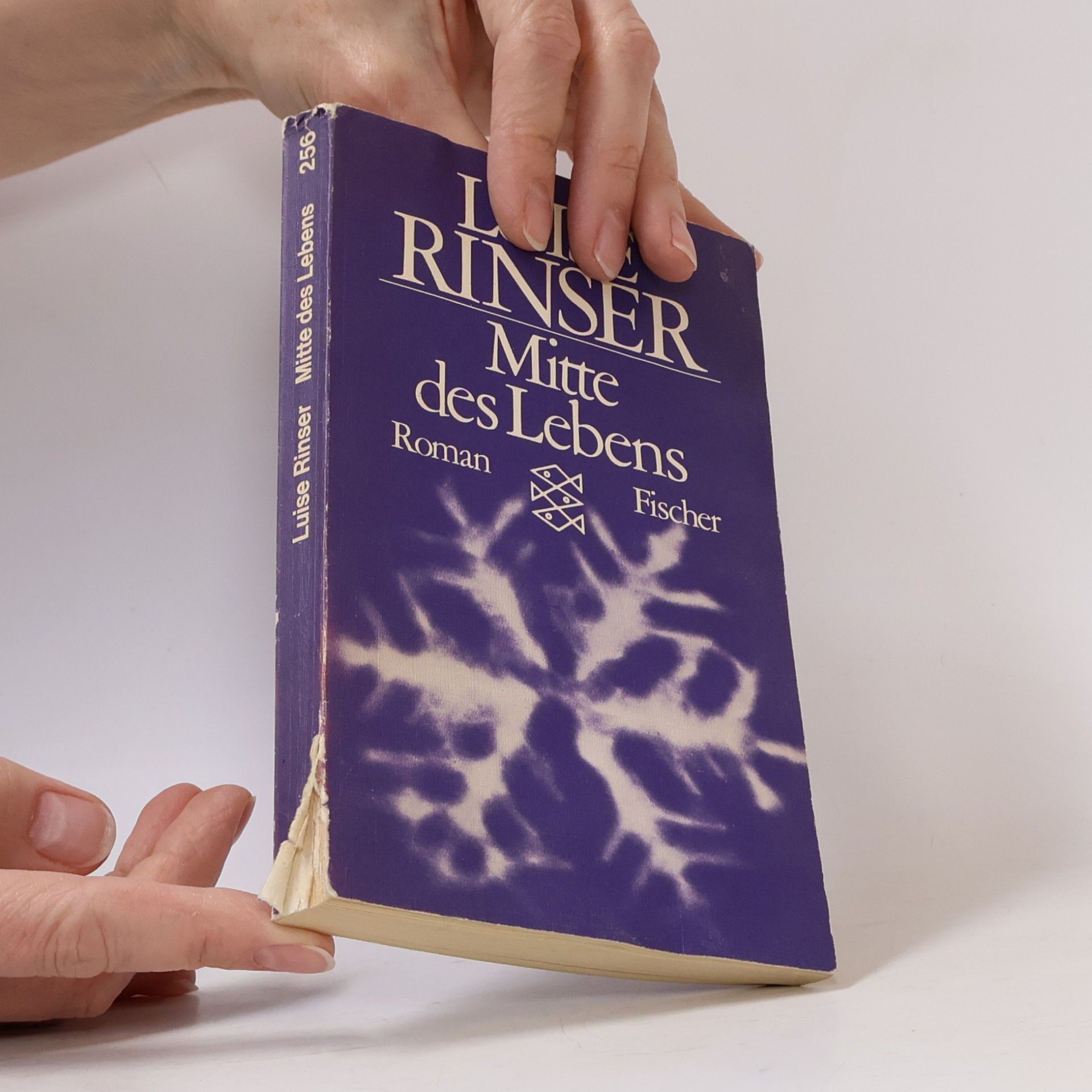 Luise Rinser Mitte des Lebens