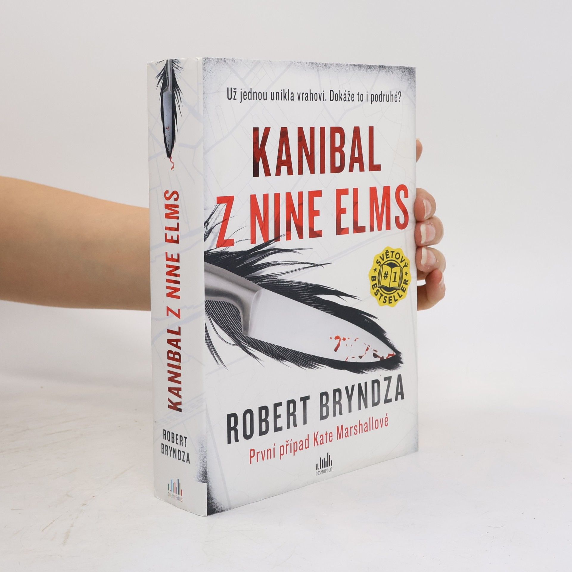 Robert Bryndza Kanibal z Nine Elms