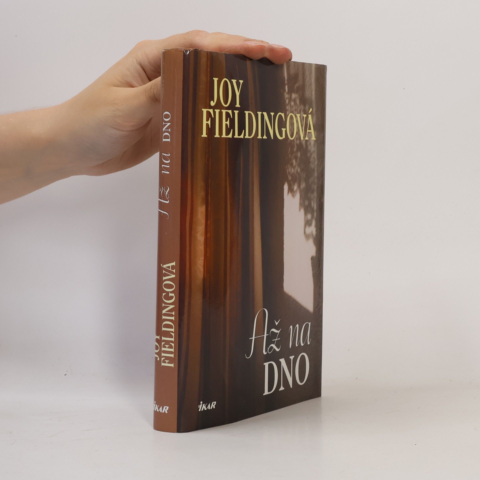 Joy Fielding Až na dno