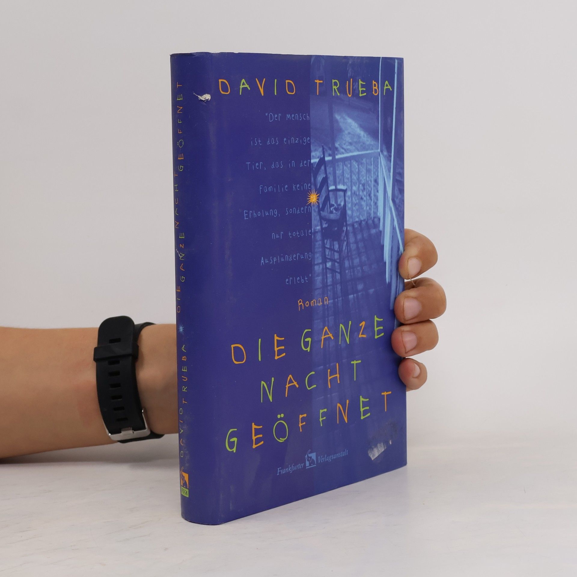 David Trueba Die ganze Nacht geöffnet