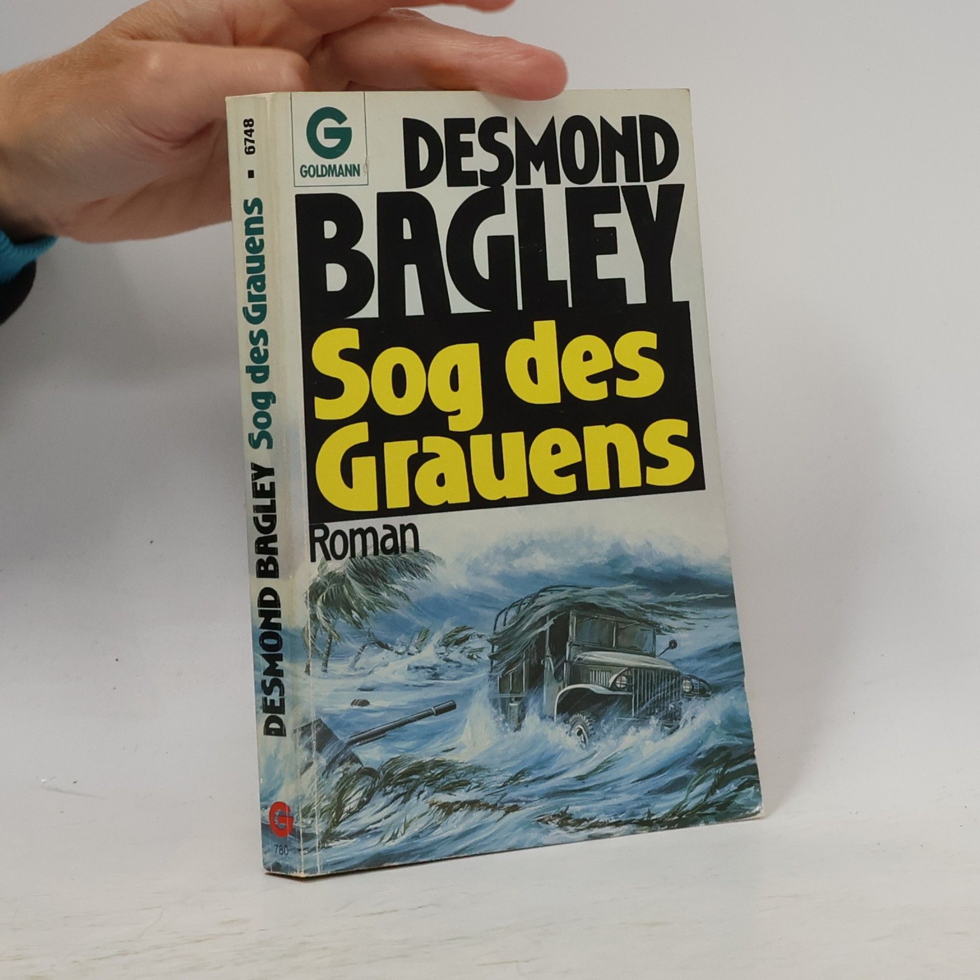 Desmond Bagley Sog des Grauens