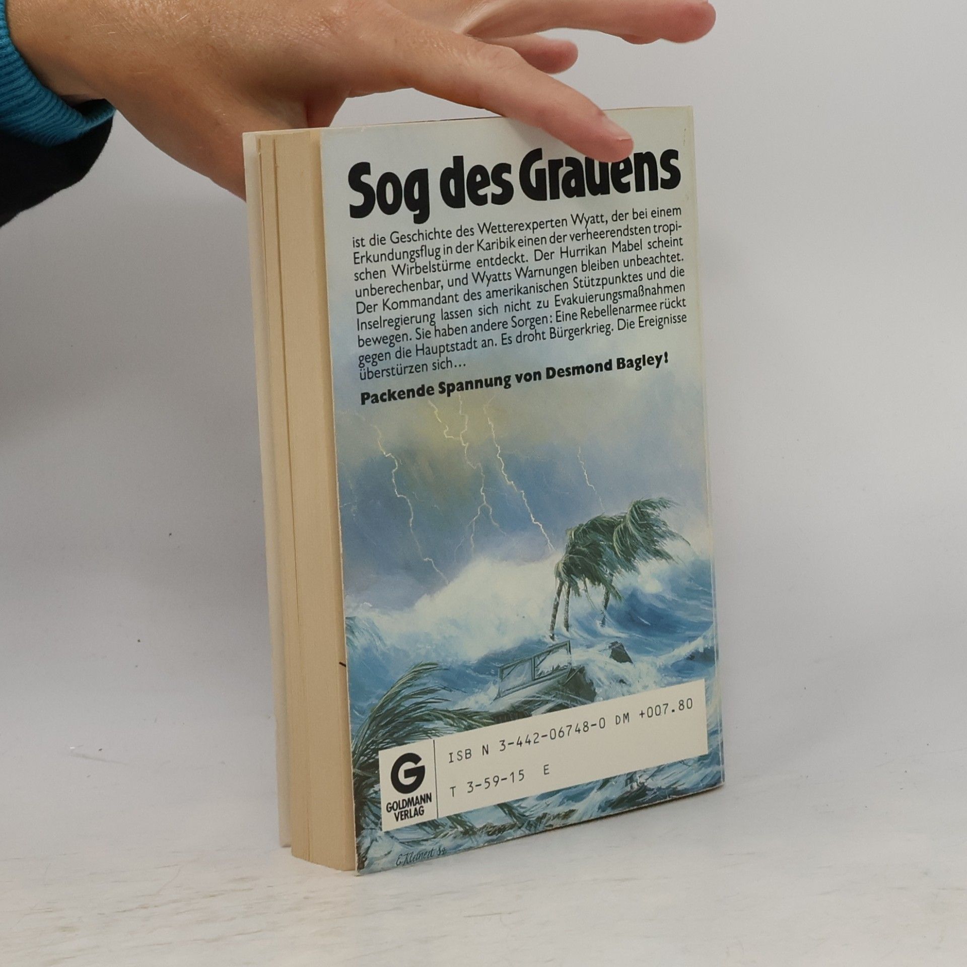 Desmond Bagley Sog des Grauens