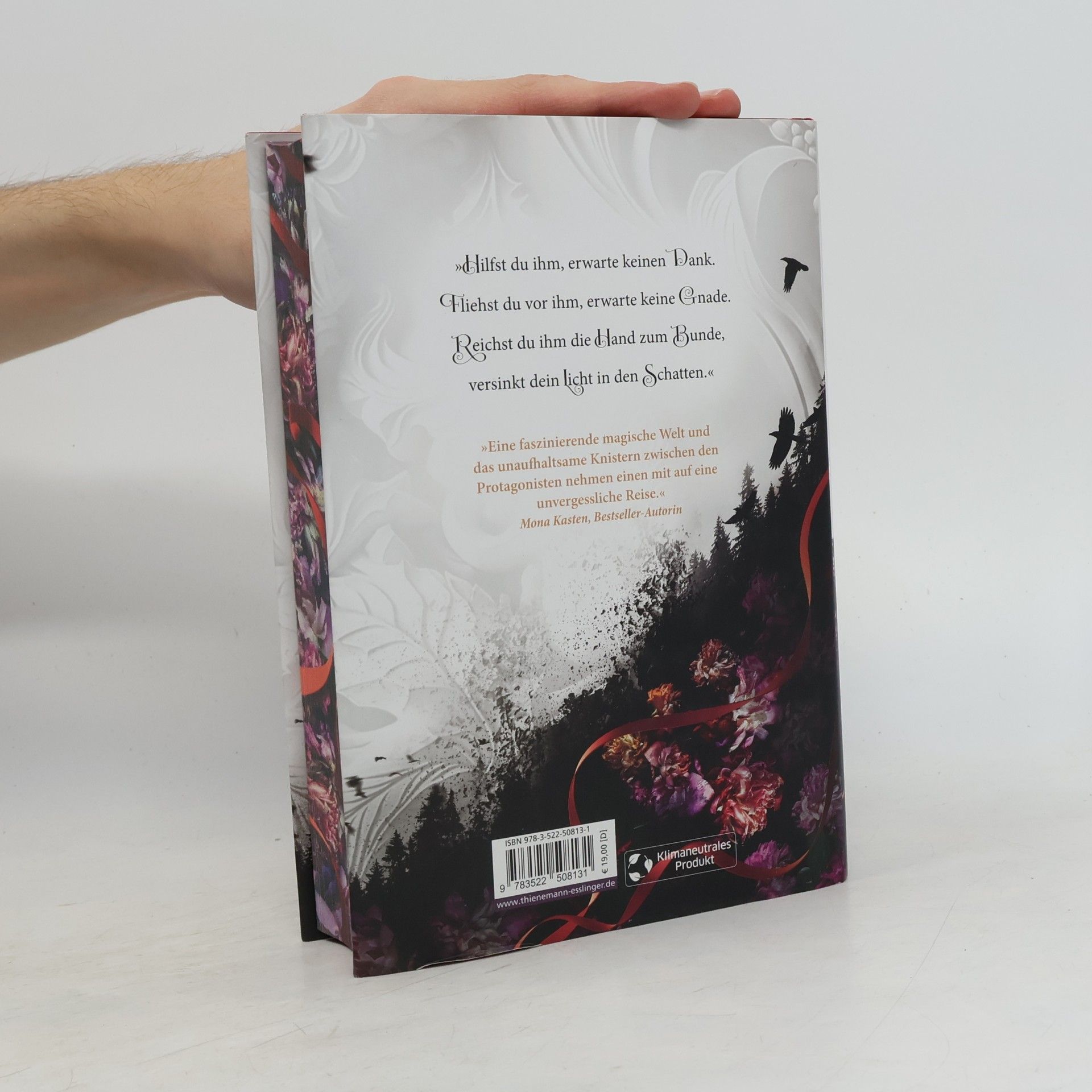 Julia Dippel Die Sonnenfeuer-Ballade 1: A Song to Raise a Storm