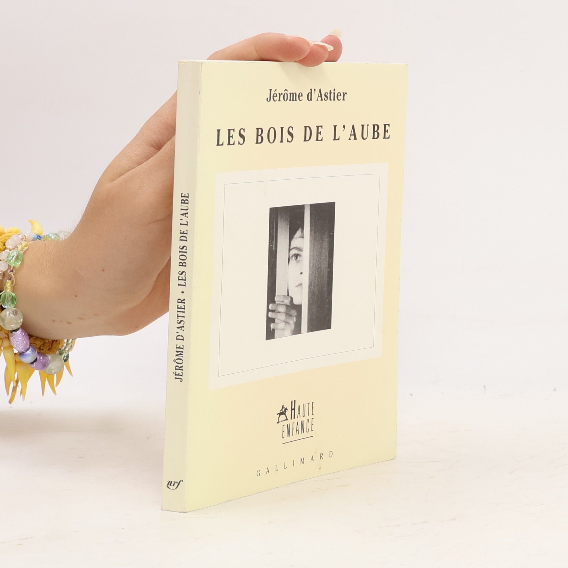 Jérôme d'Astier Les Bois de l'aube