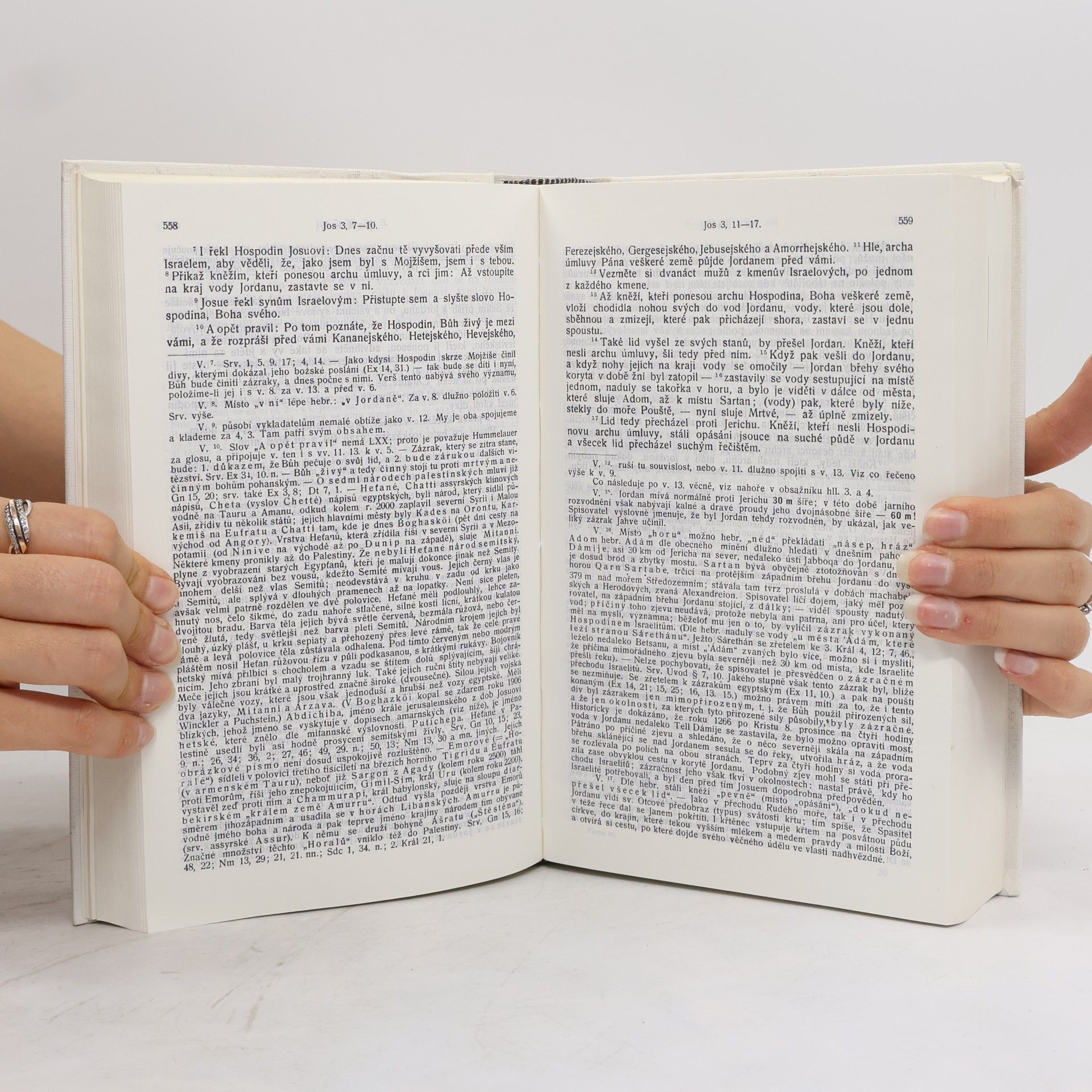 Jan Hejčl Bible Česká. Díl prvý: Knihy Starého zákona. Svazek I