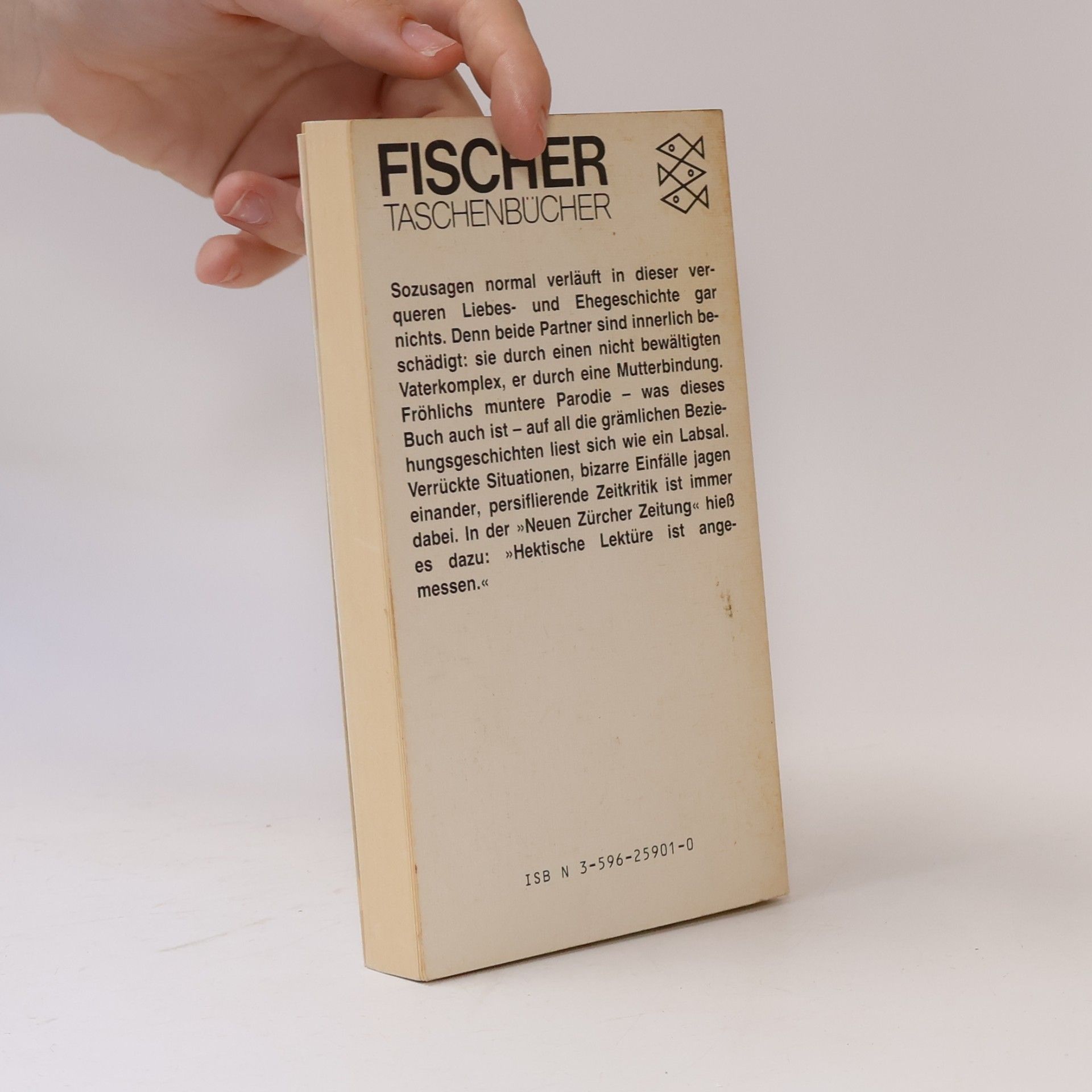 Hans-Jürgen Fröhlich Mit Feuer und Flamme