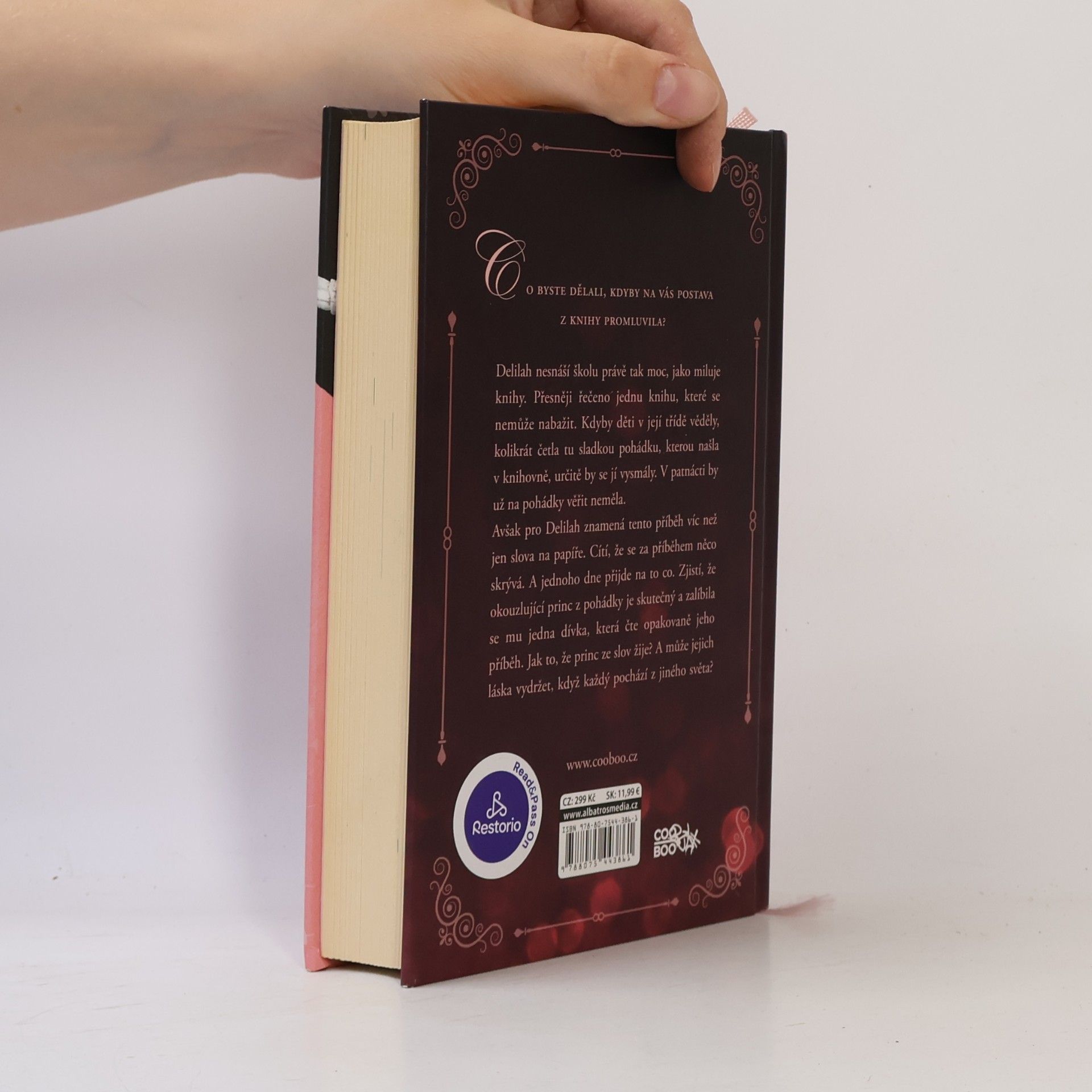 Jodi Picoult Láska mezi řádky