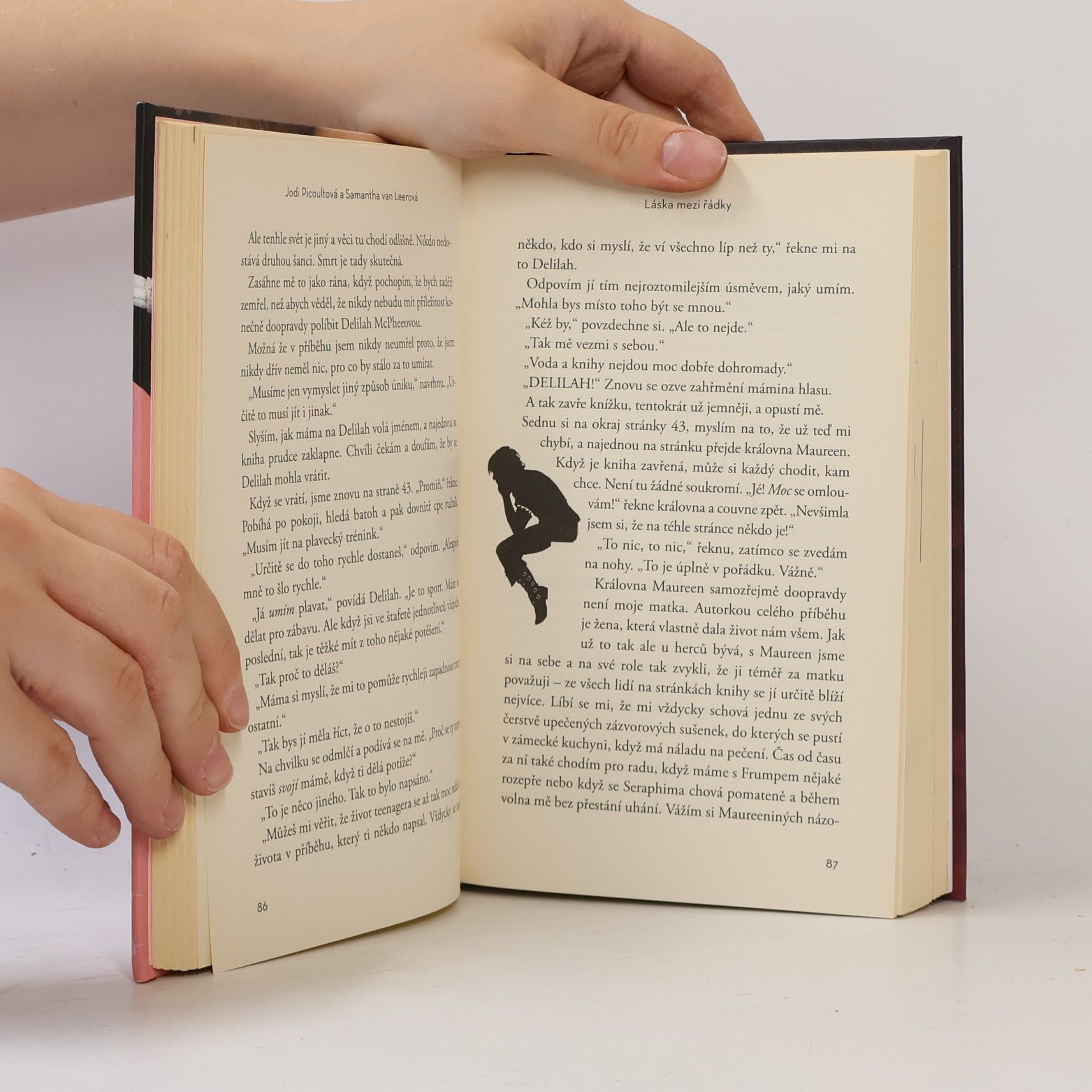 Jodi Picoult Láska mezi řádky